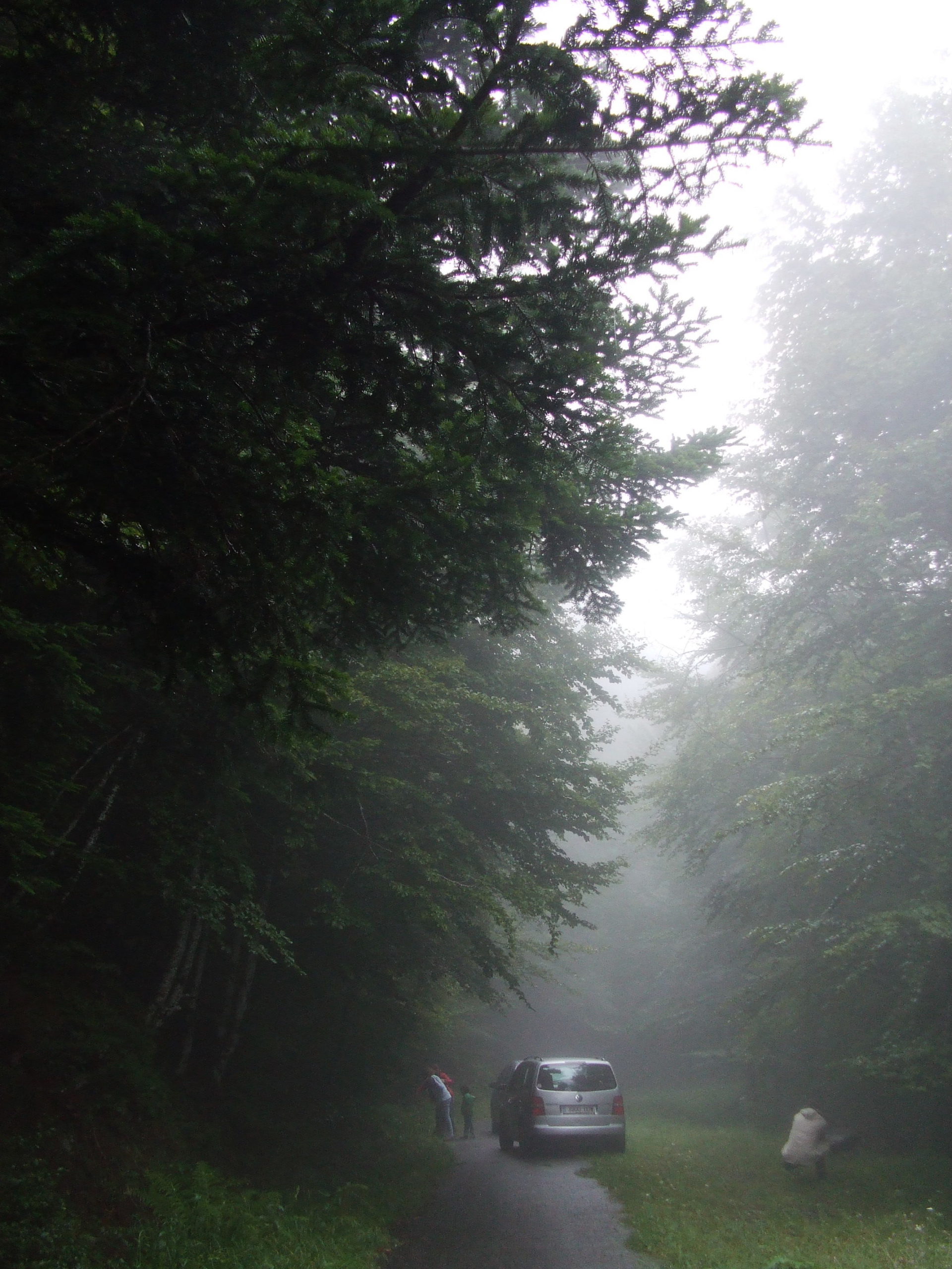 vall de la pique, hospice de france