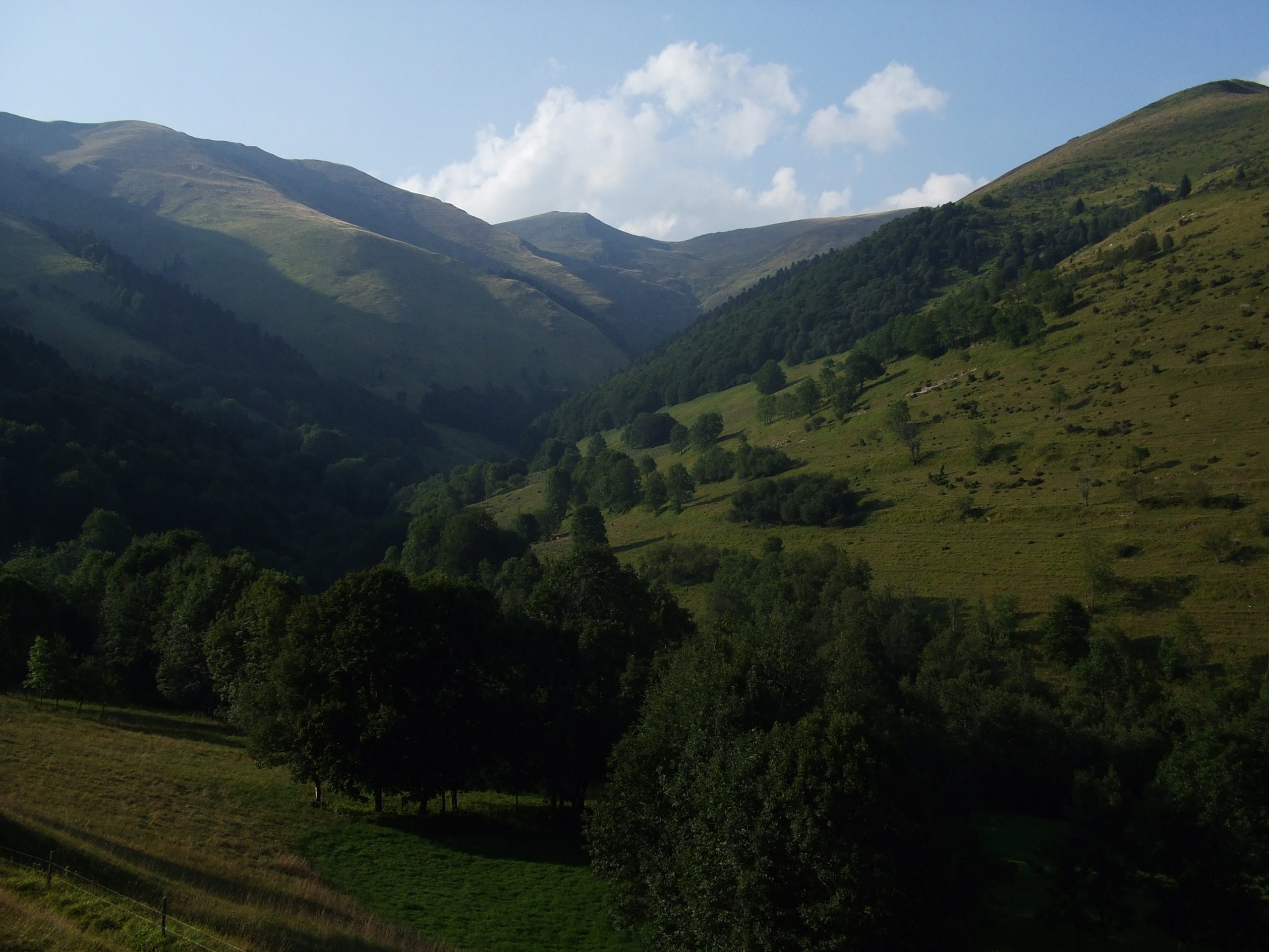 ruissiau de labach i pic de pouy-louby