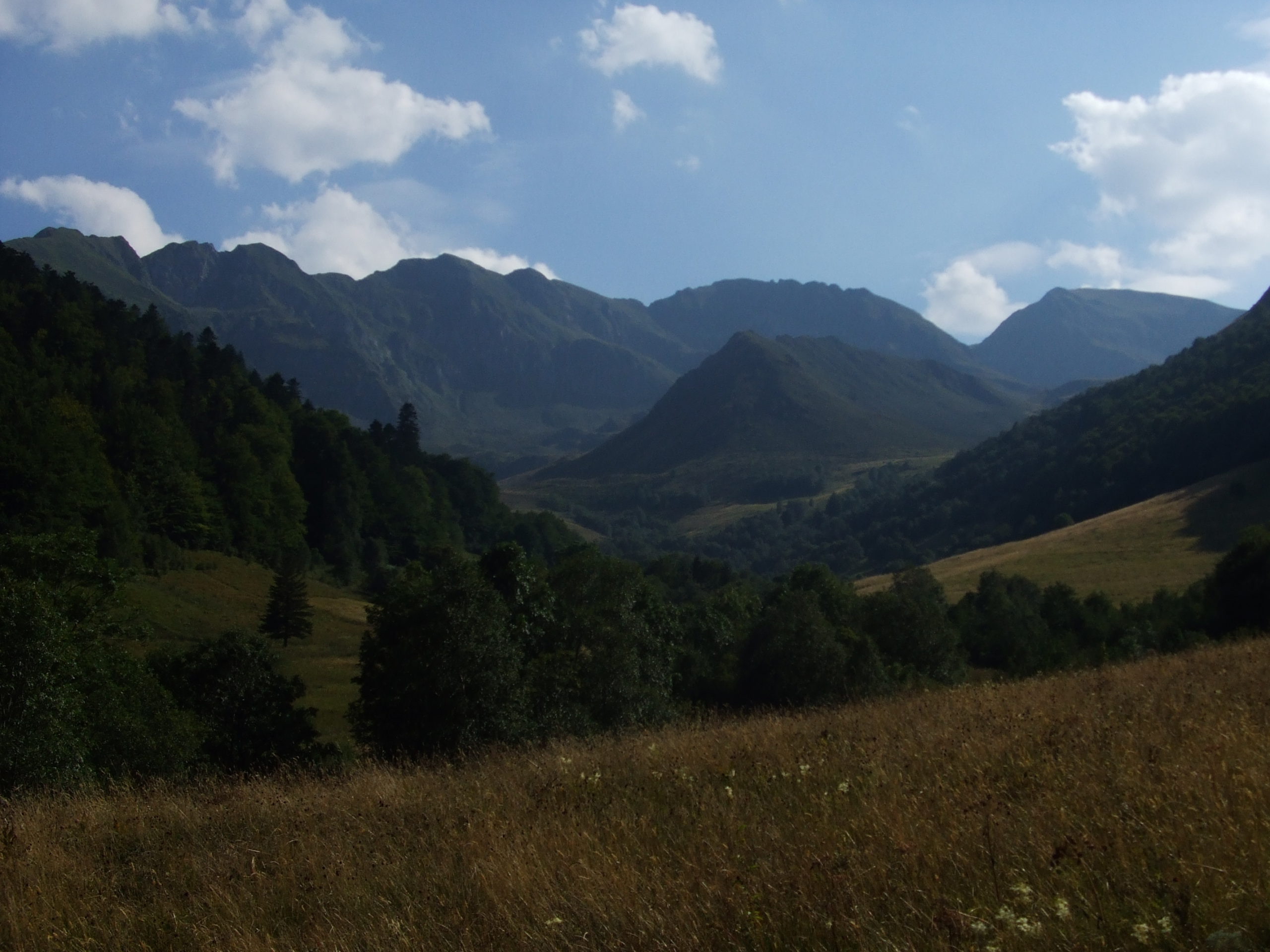 galaux de larboust, montsegu,