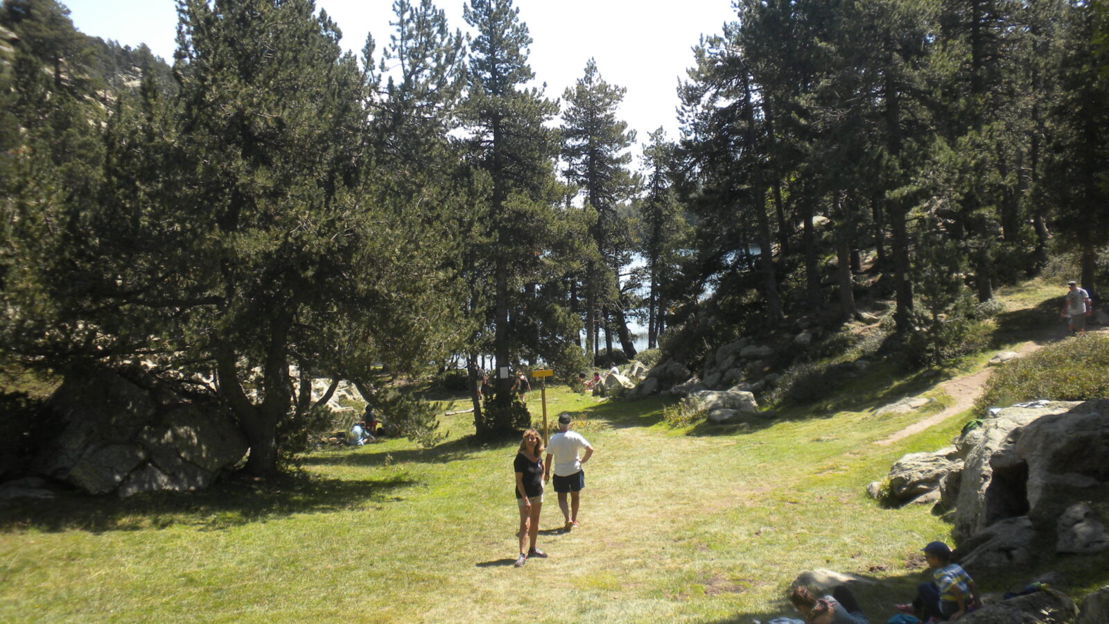 els llacs del bosc de llívia