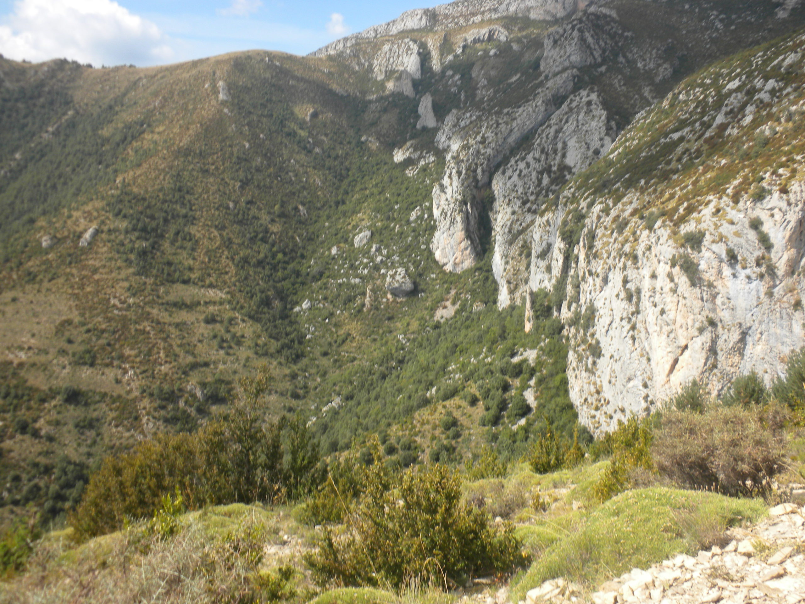 refugi de la plana del turbó