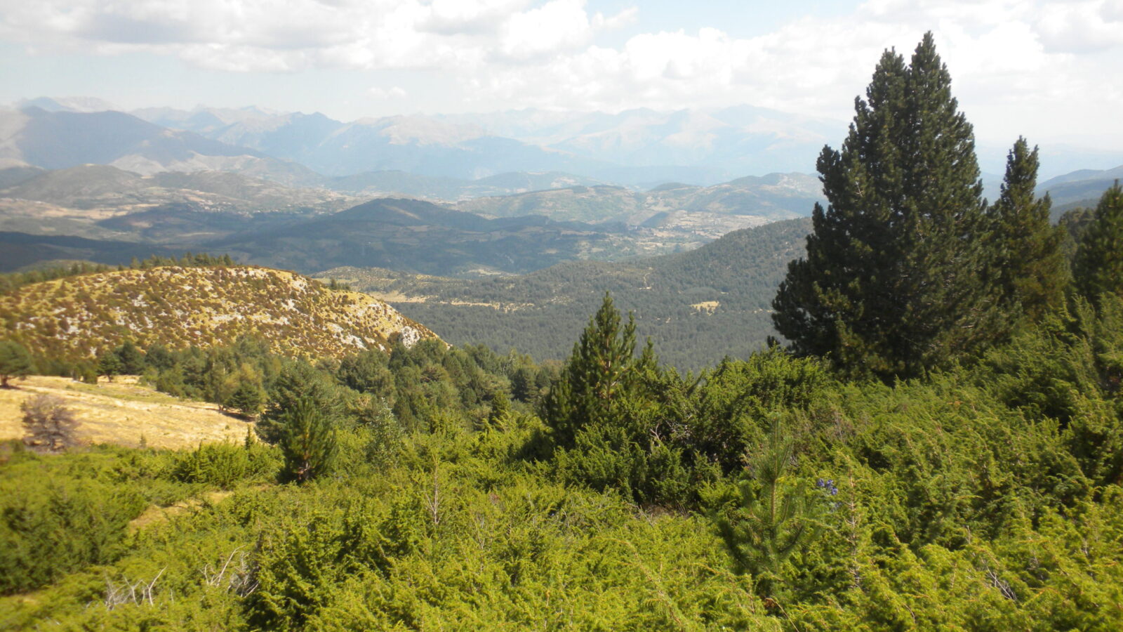 turbón, collada de sant adria