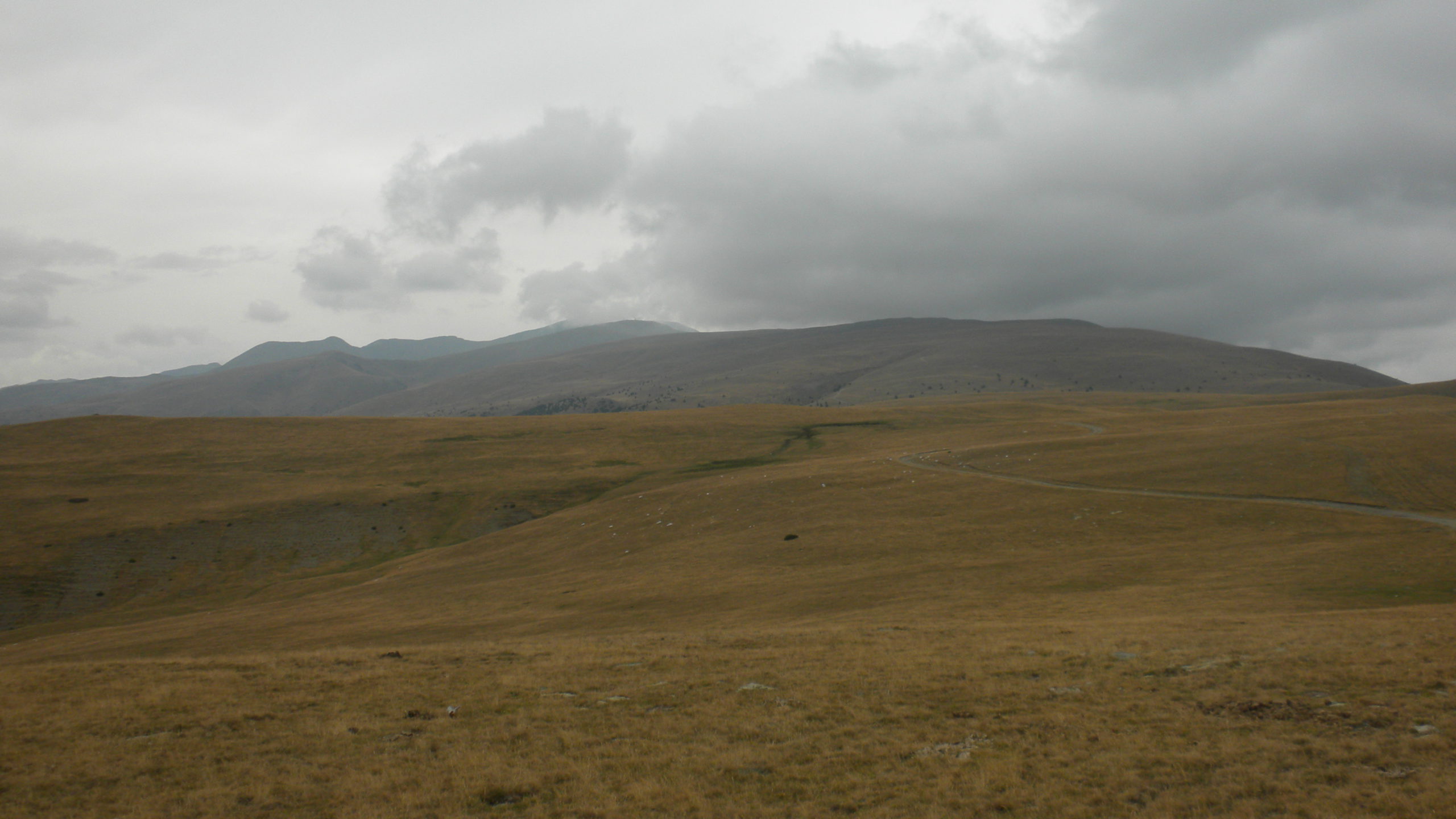 coll de sant salvador