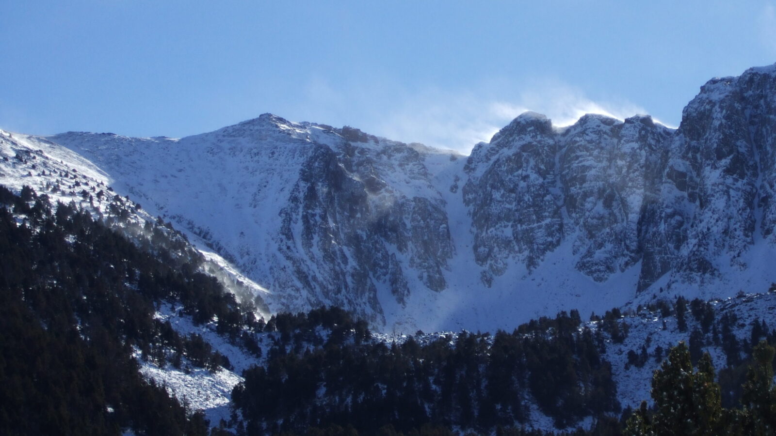 eina al cambra d'ase