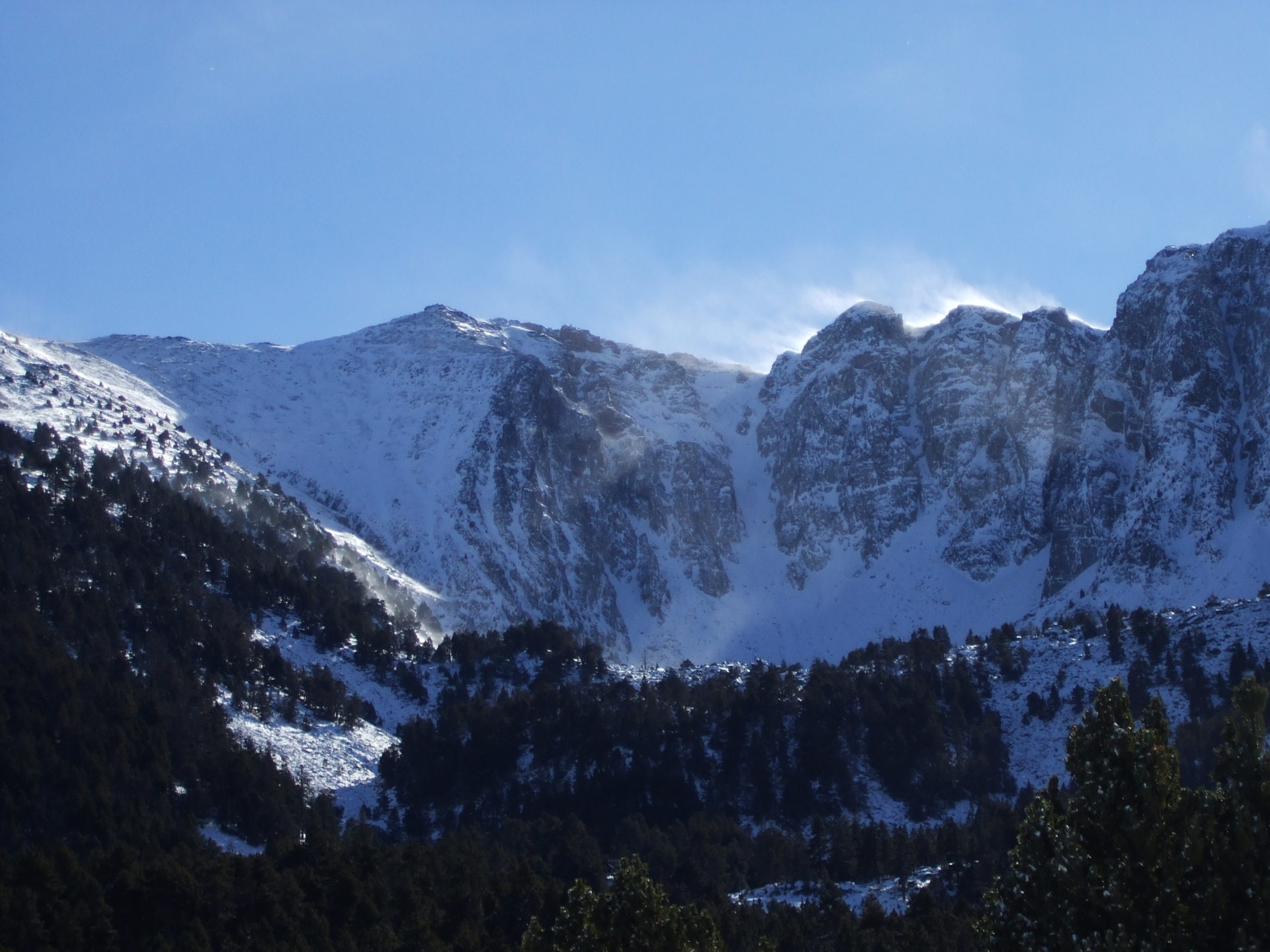 eina al cambra d'ase