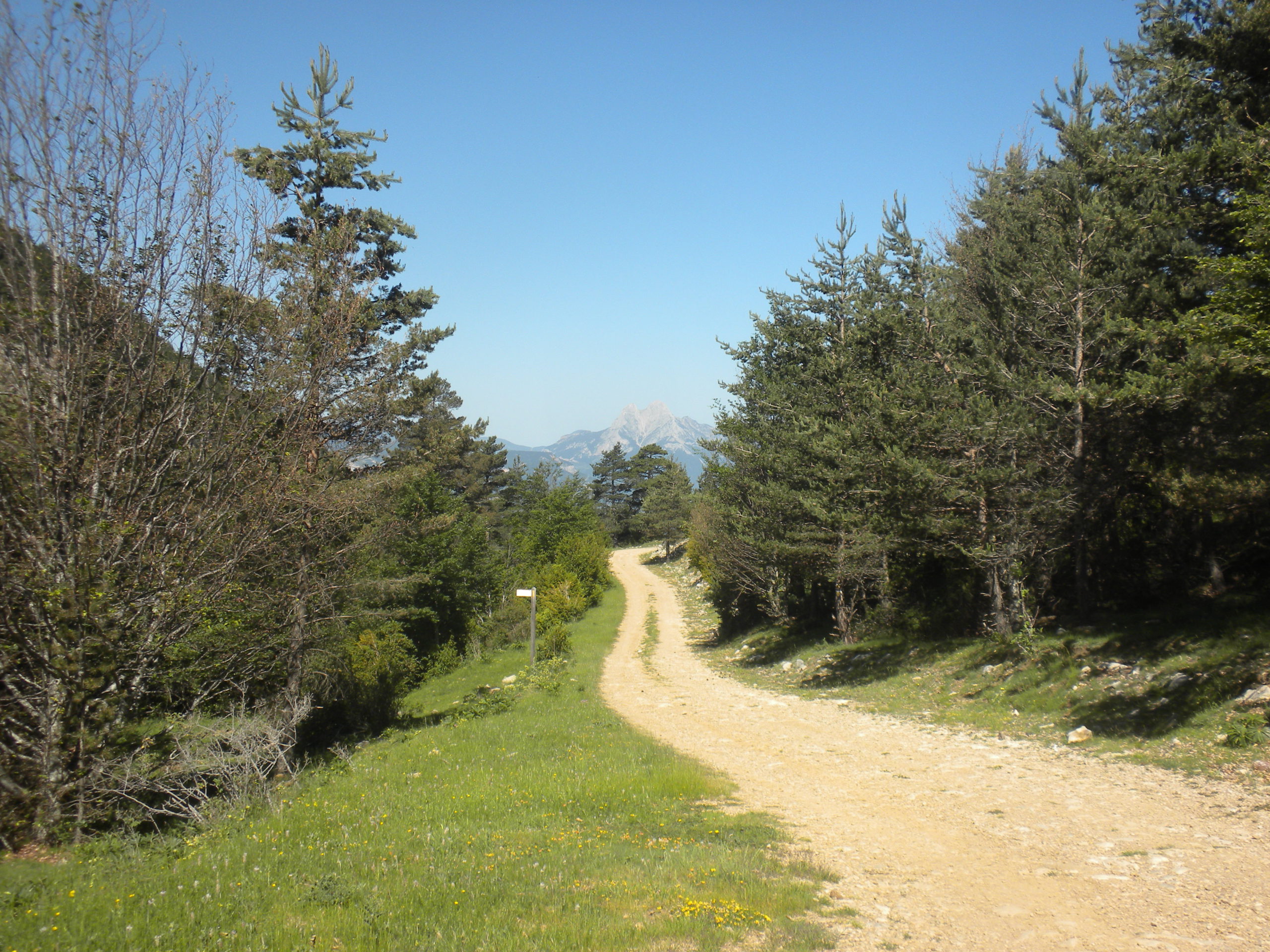 el serrat negre del catllaràs al pedraforca