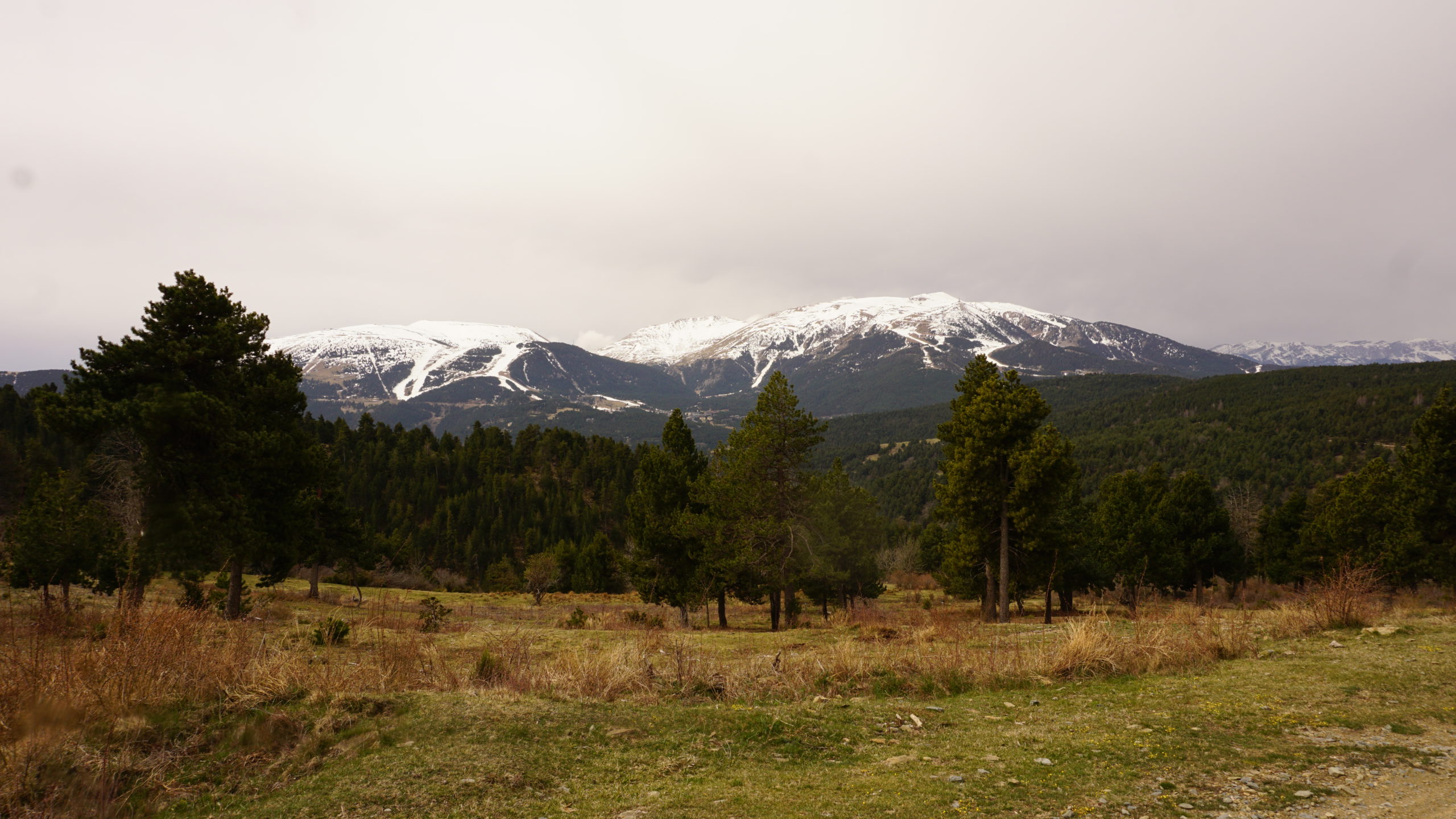 pla de les forques