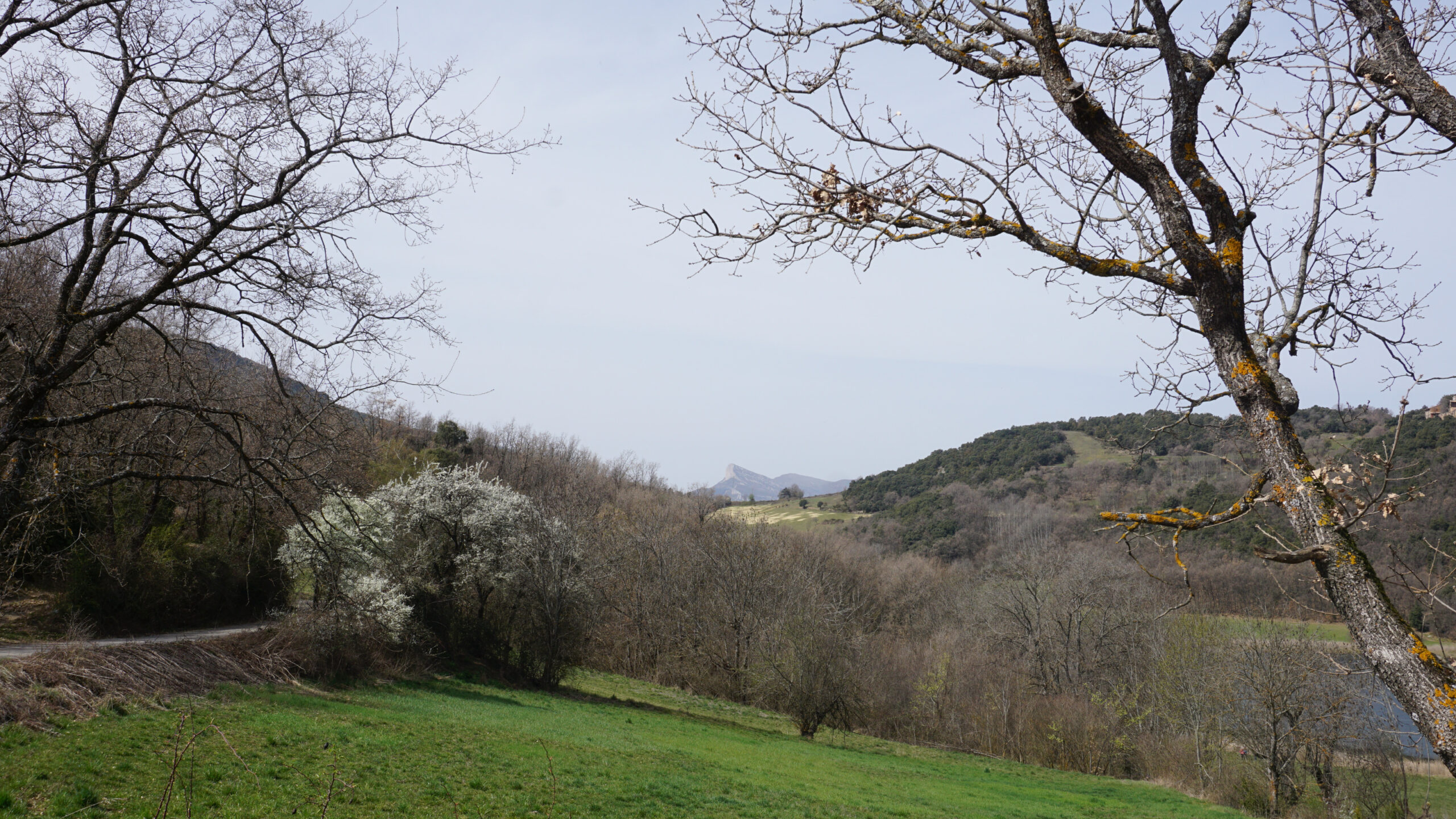 estany de montcortés