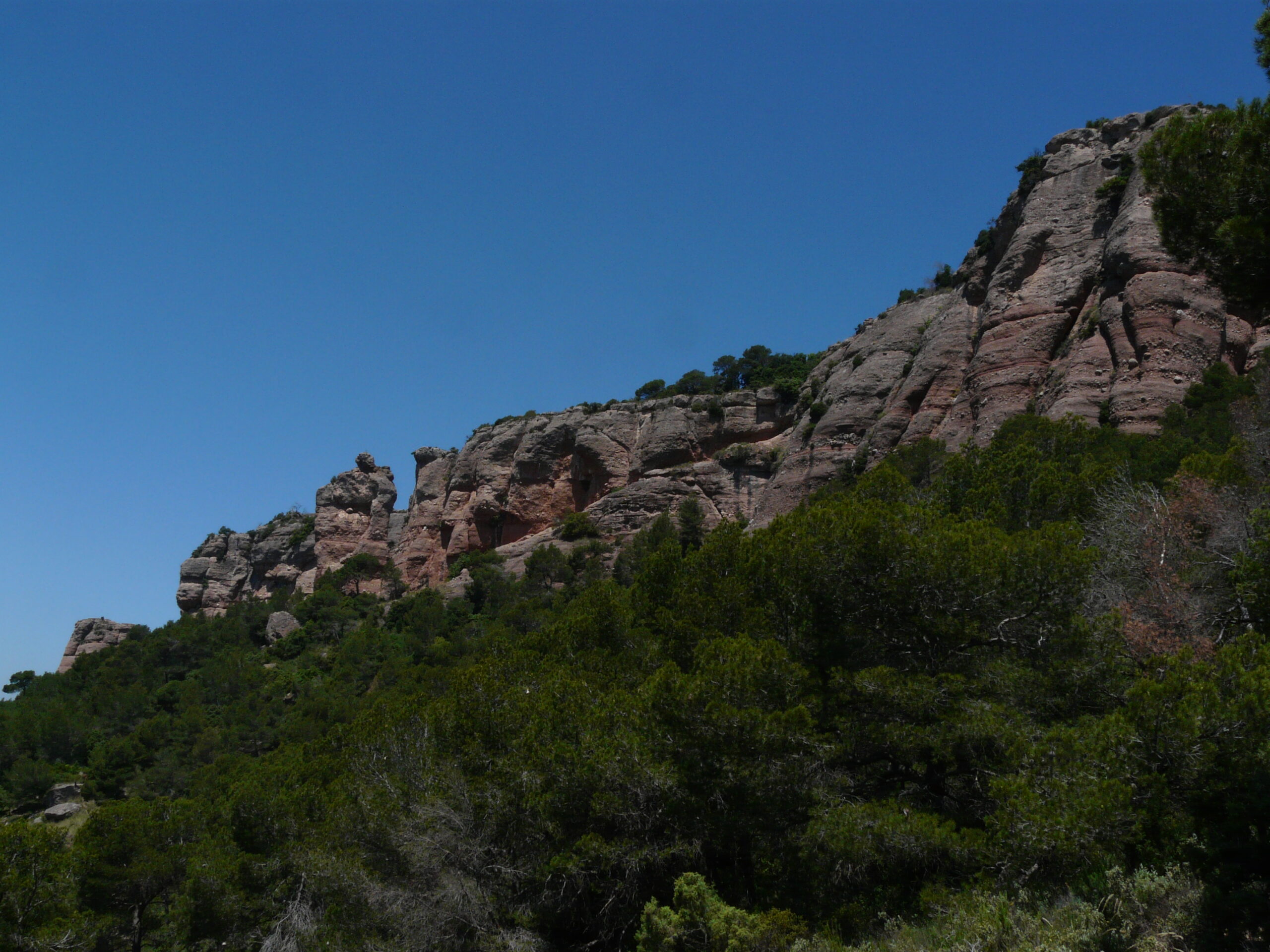 sant llorenç del munt, cavall bernat