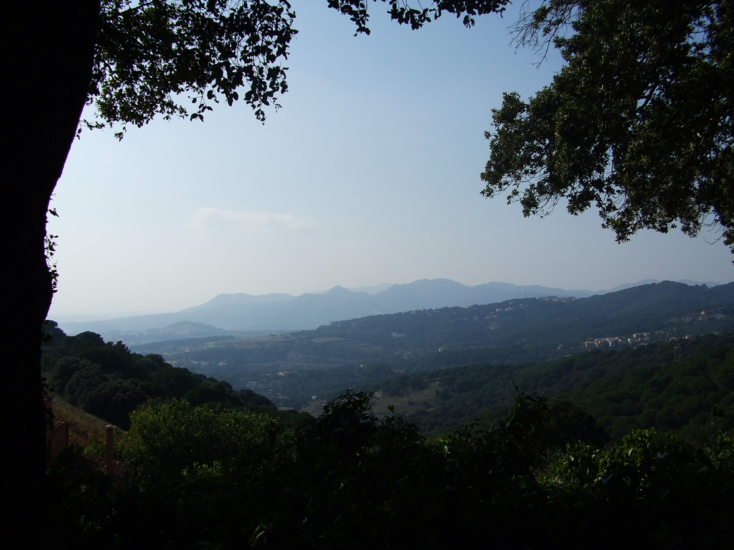 sant andreu de llavaneres,