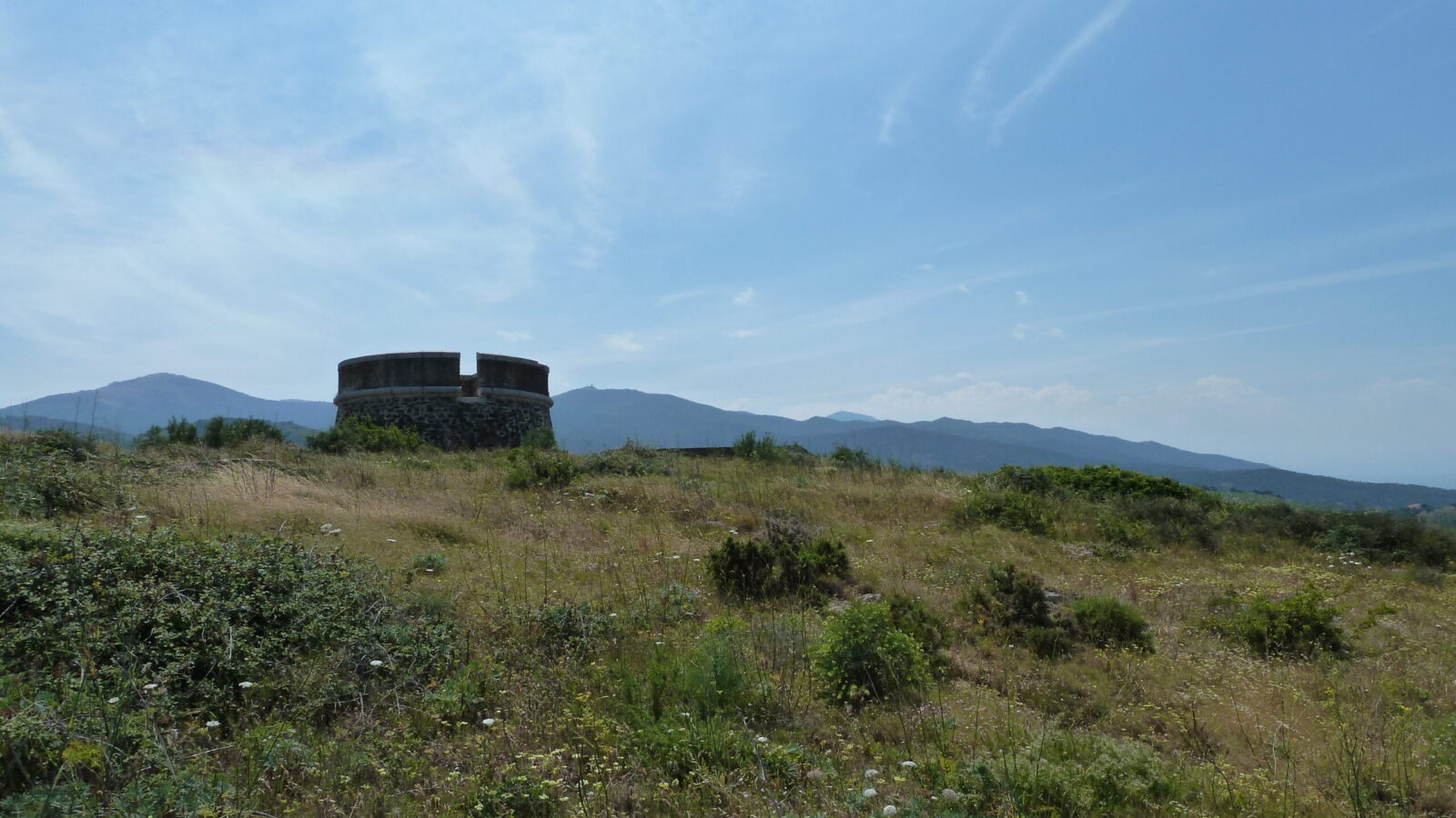 cotlliure a la torre massana