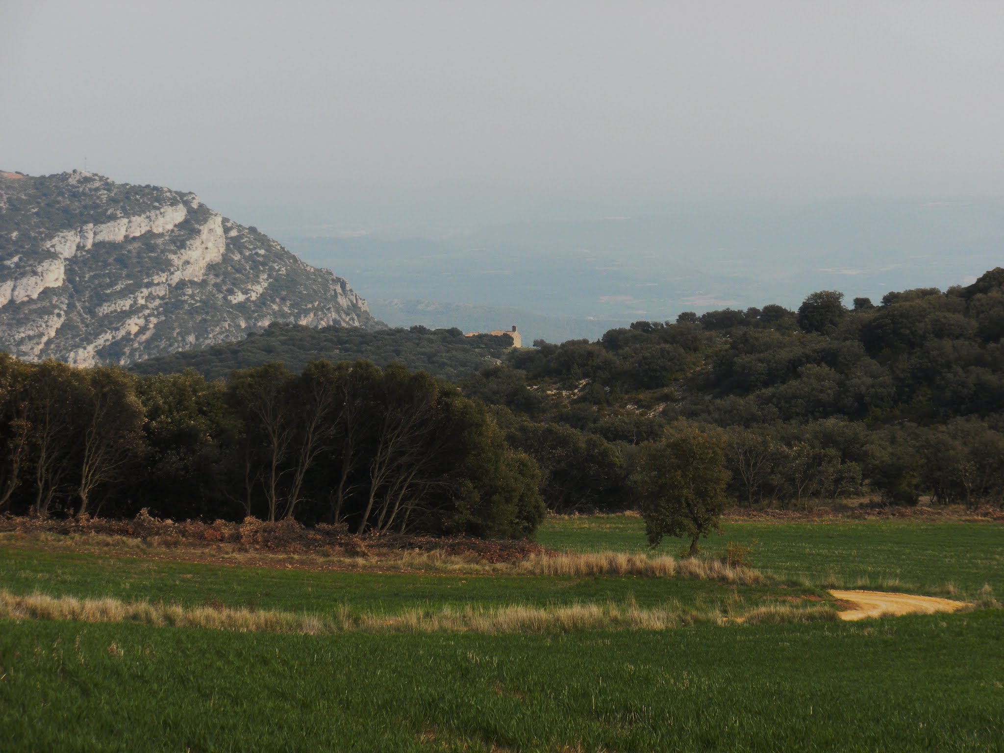 Altiplà de Rúbies a Ermita de Sant Alís