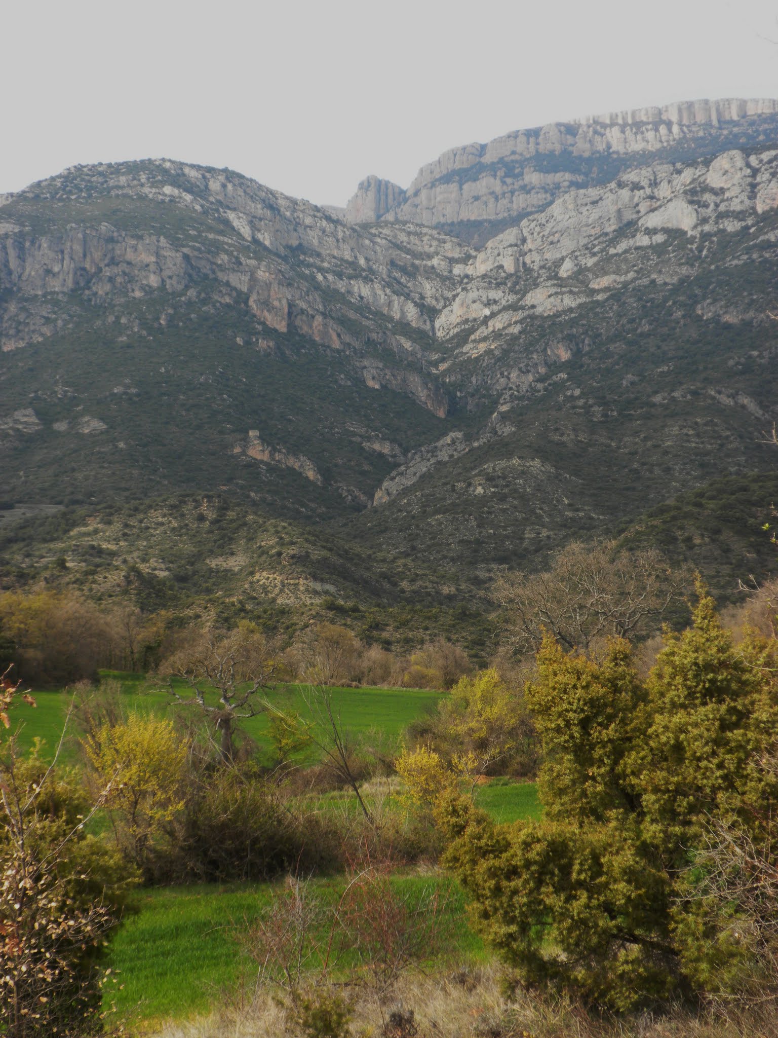 Altiplà de Rúbies a la Portella Blanc
