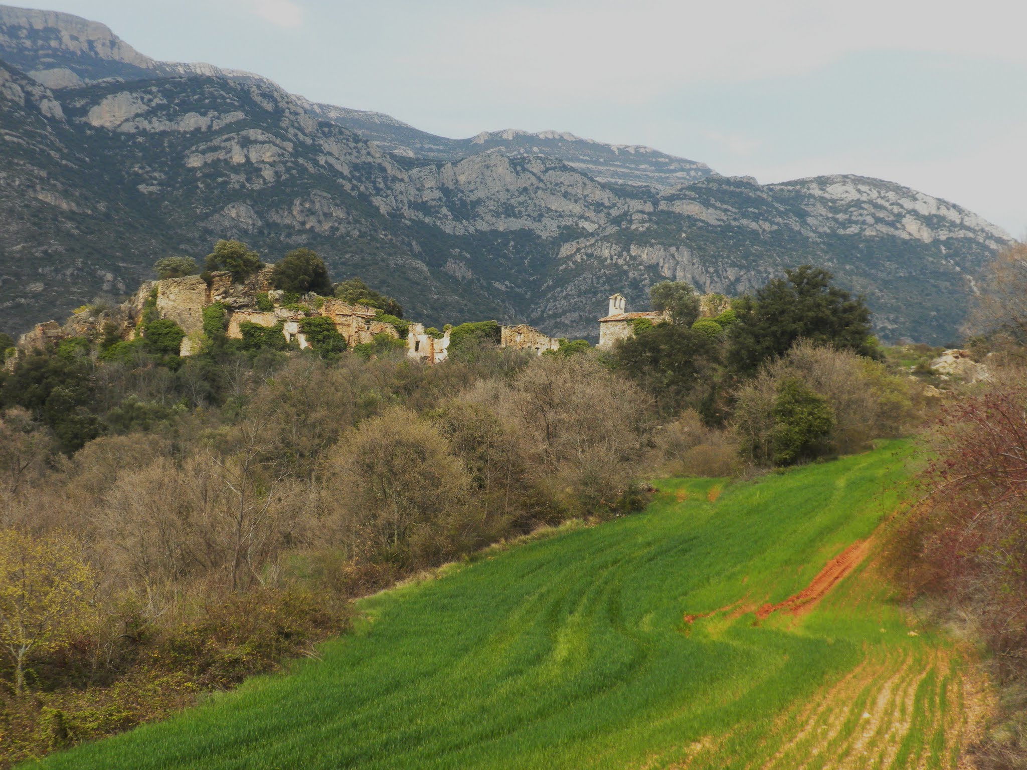 Altiplà de Rúbies a Peralba