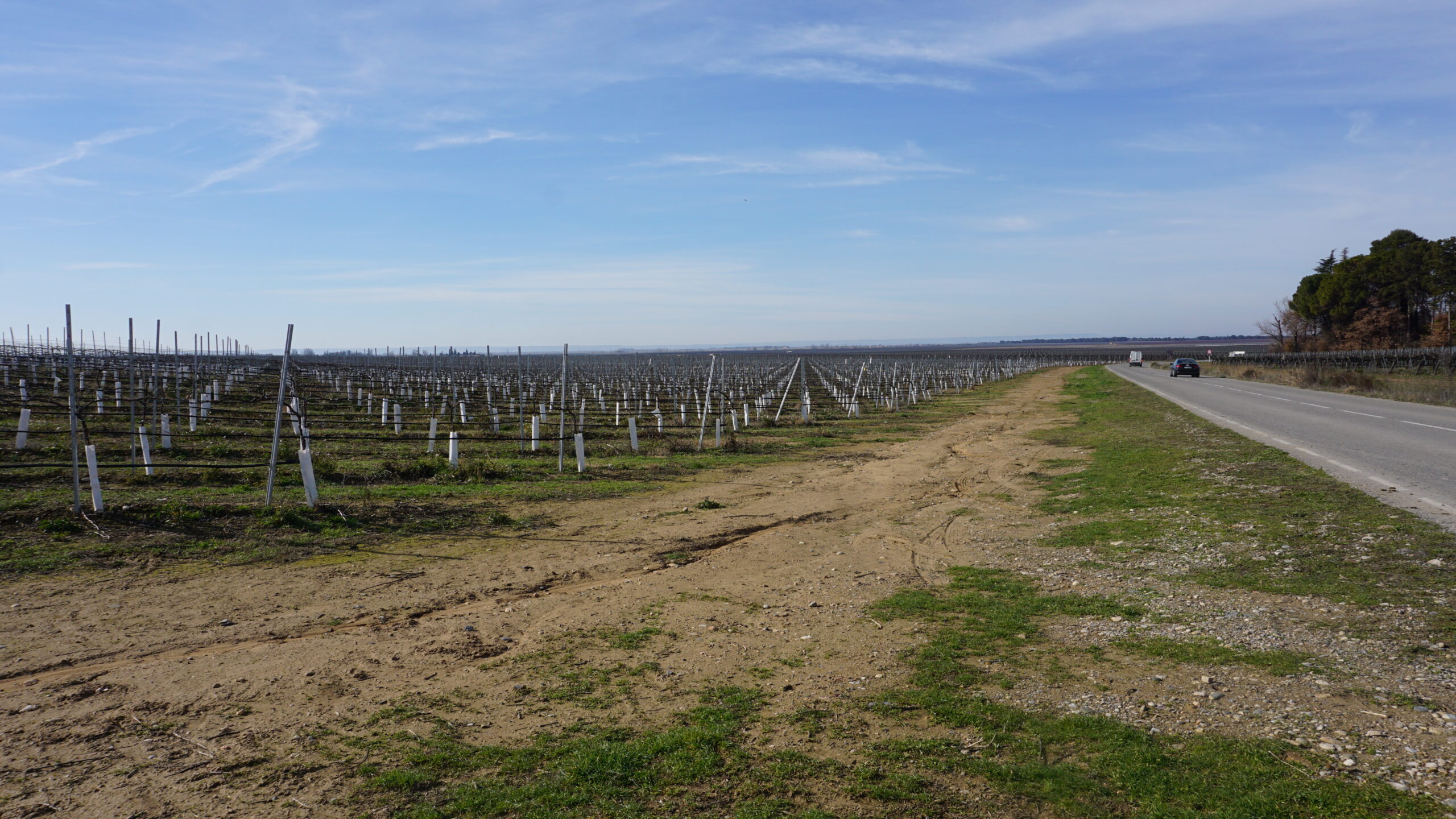 santa maria de gimenells