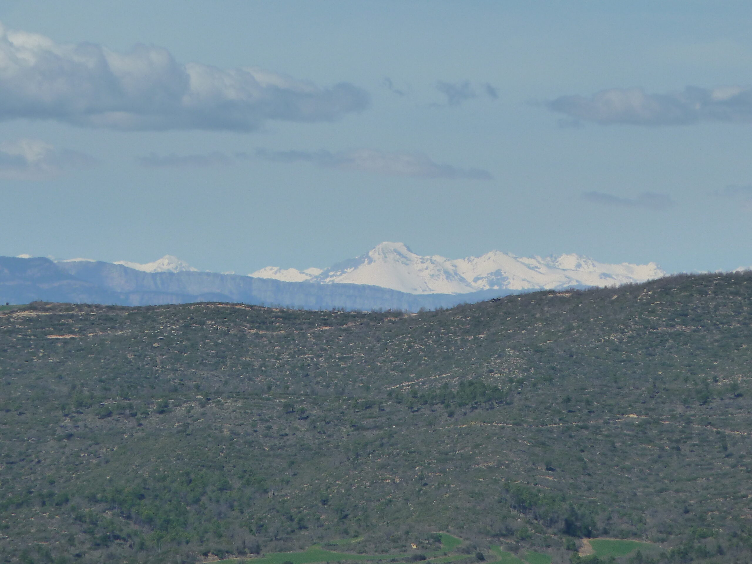 la molsosa, esglèsia