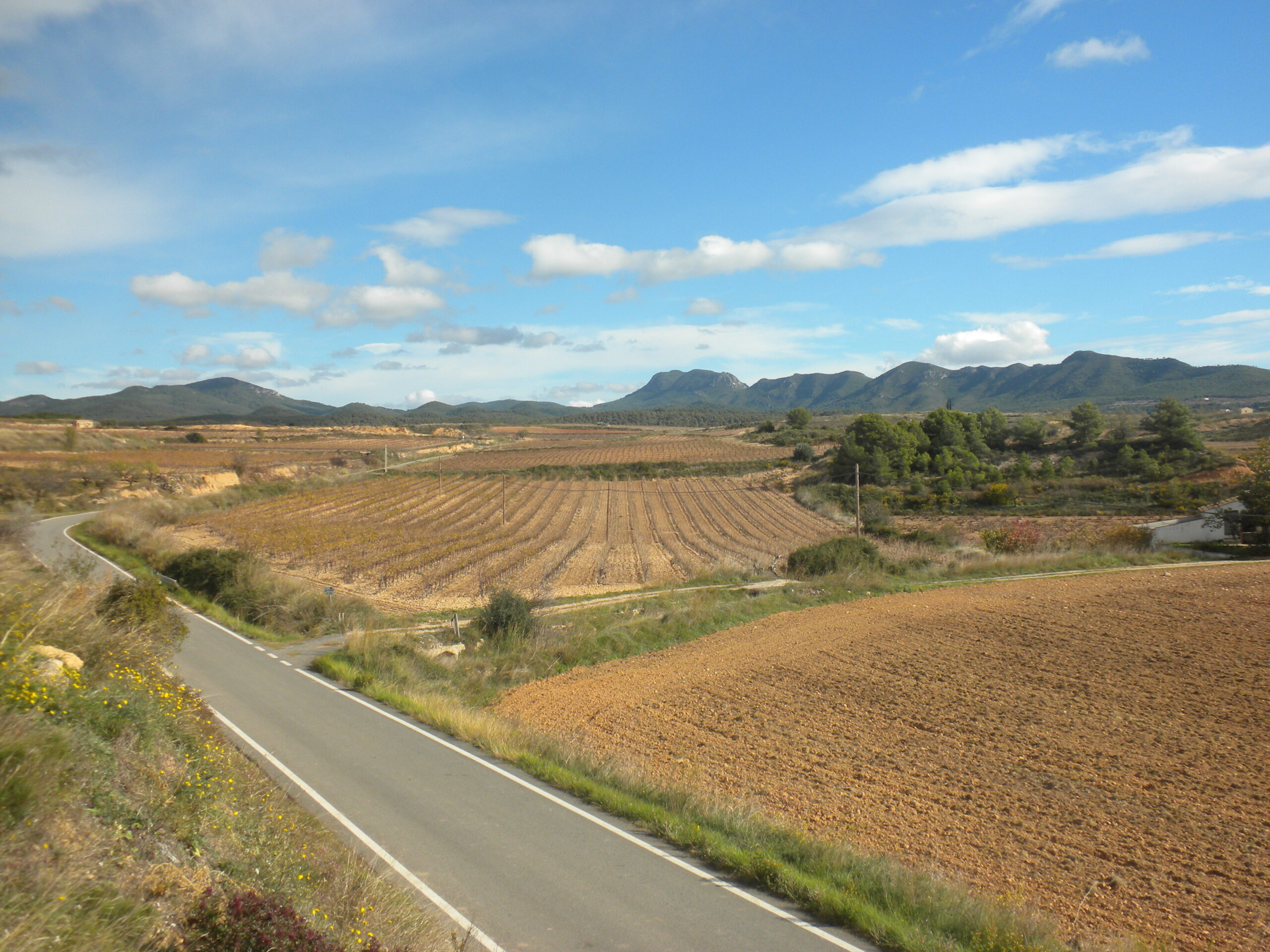 vila-rodona, entorn