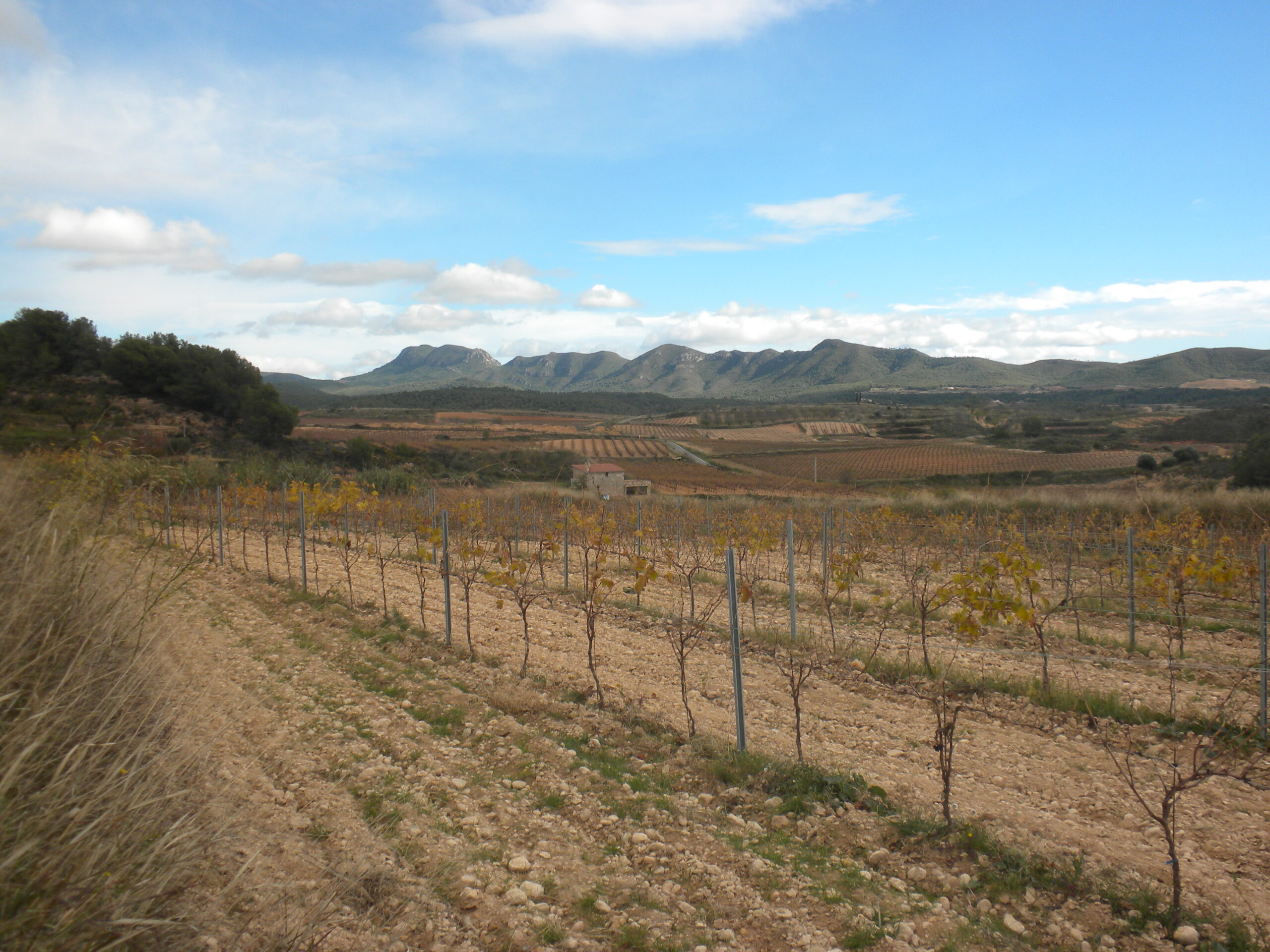 vila-rodona, entorn