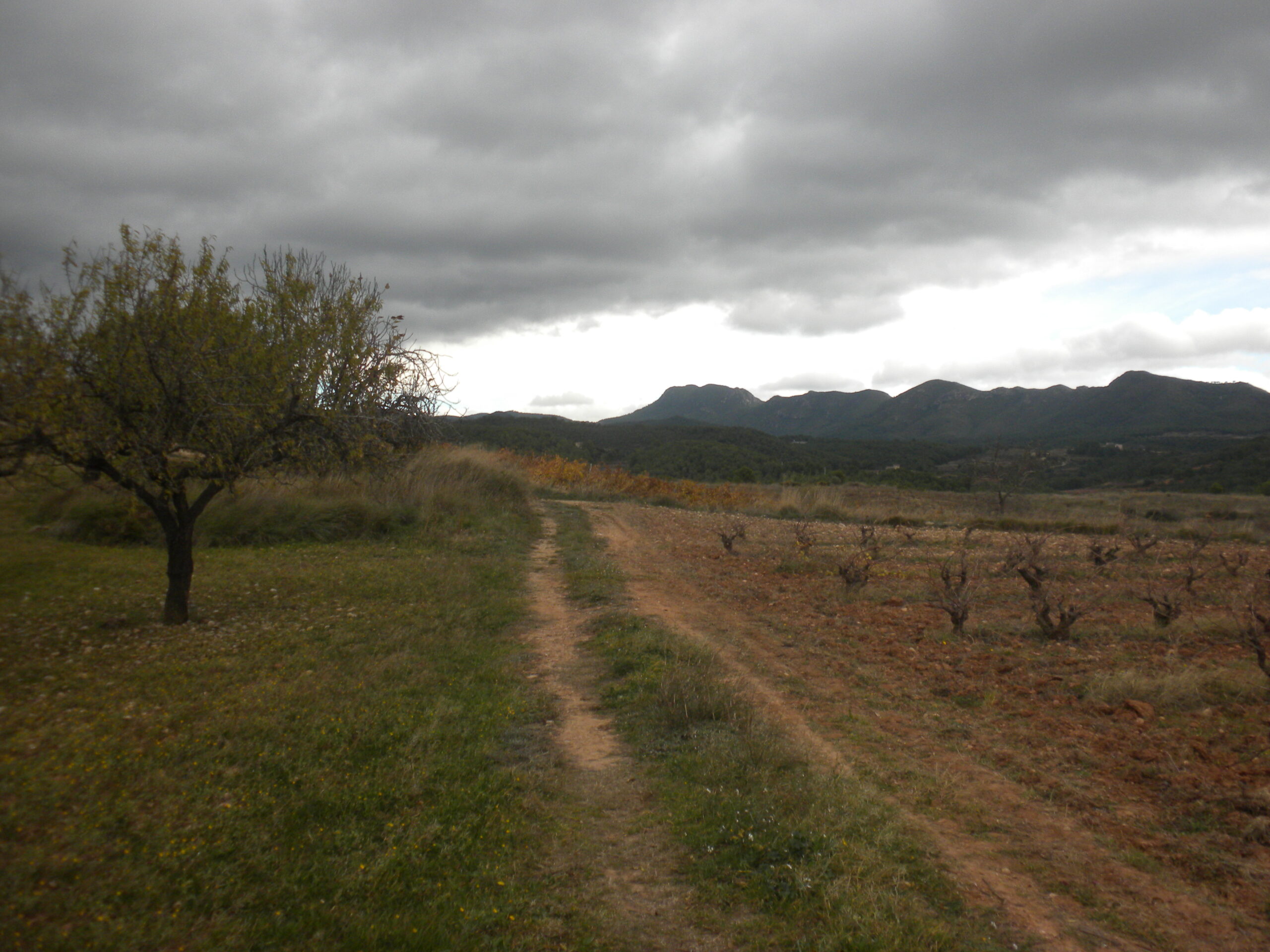 vila-rodona, entorn