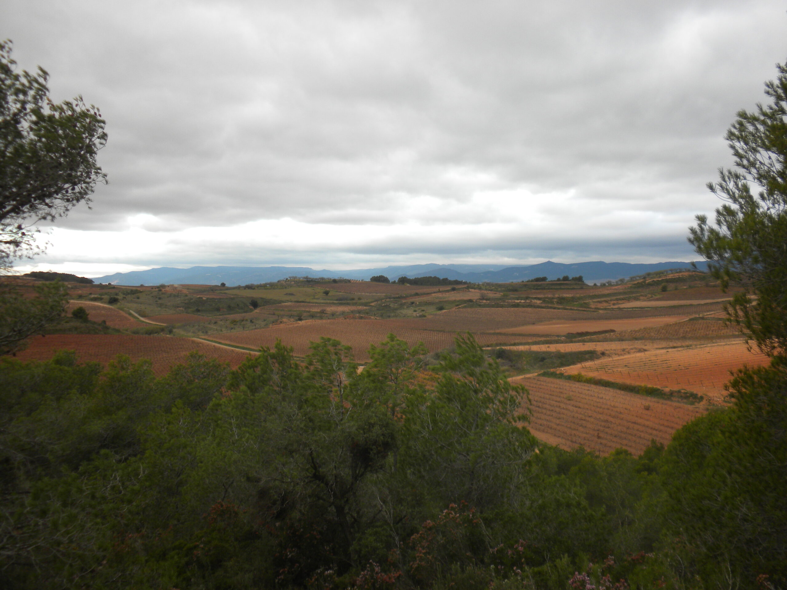 vila-rodona, entorn