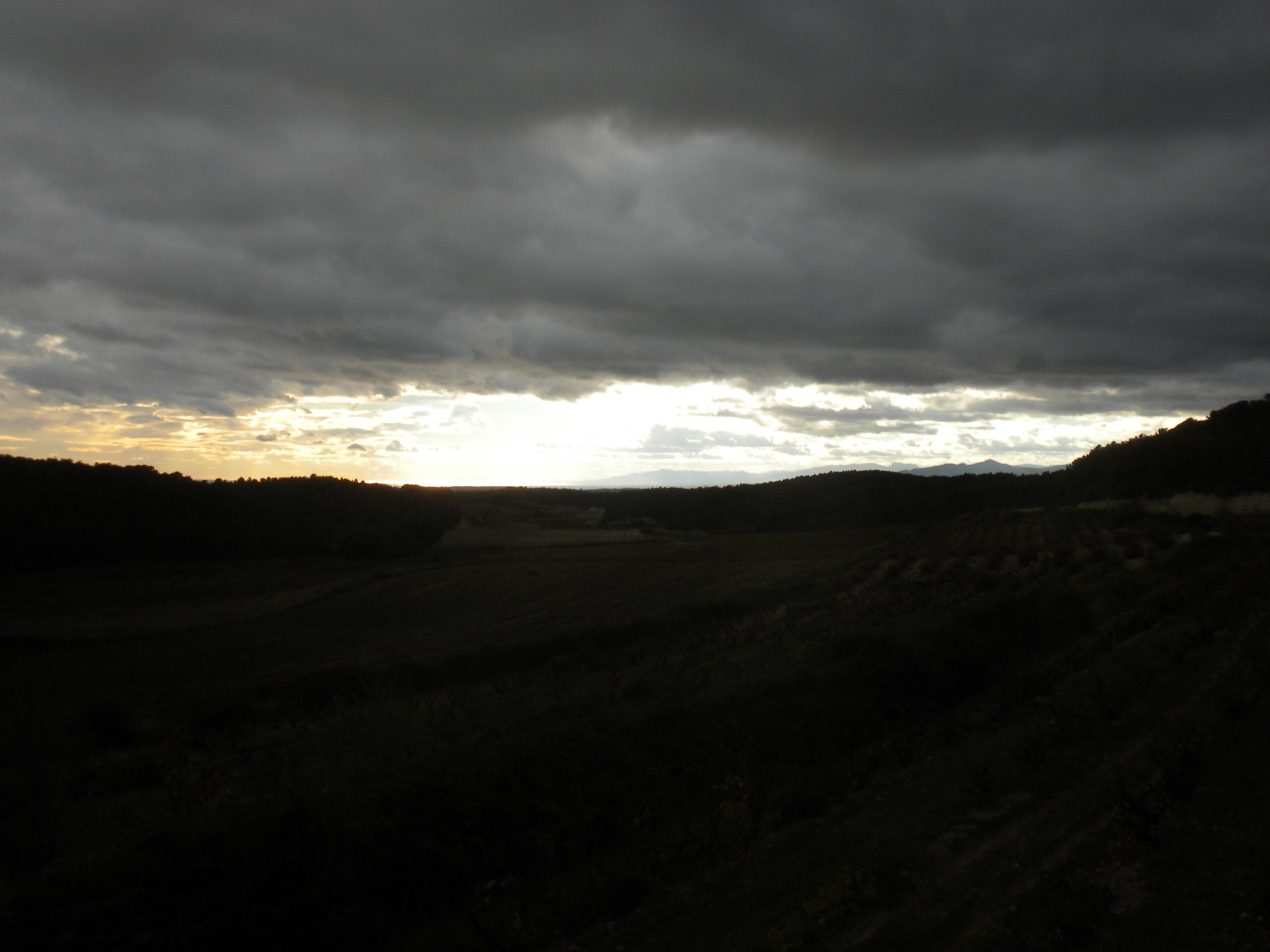 vila-rodona, entorn