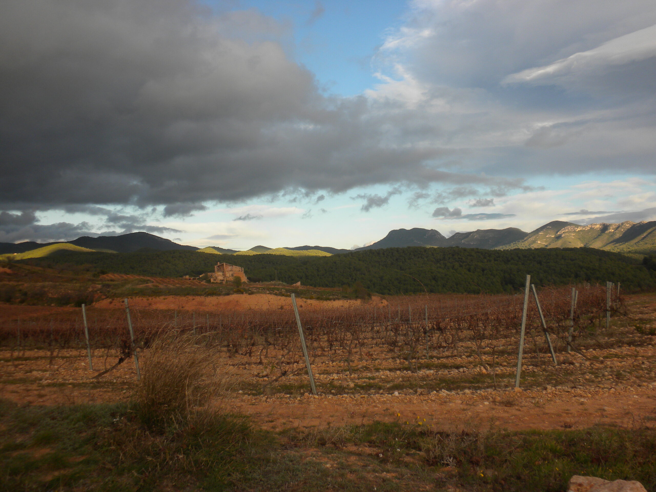 vila-rodona, entorn