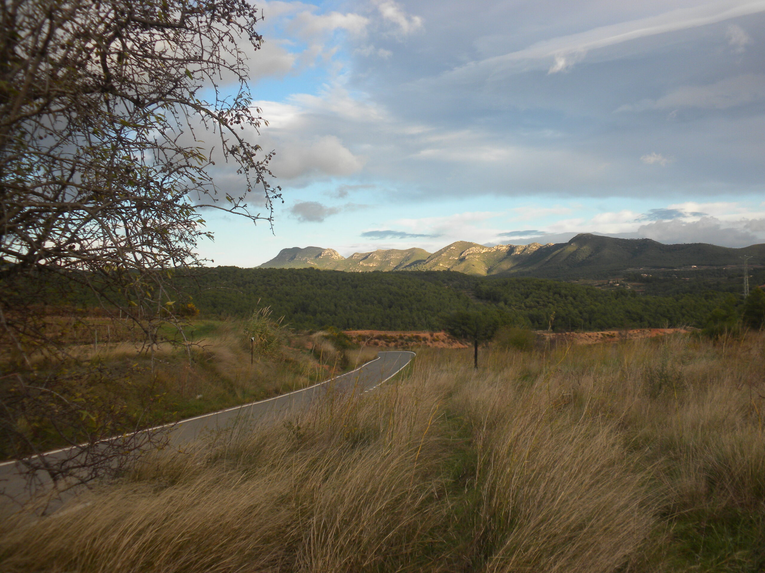 vila-rodona, entorn