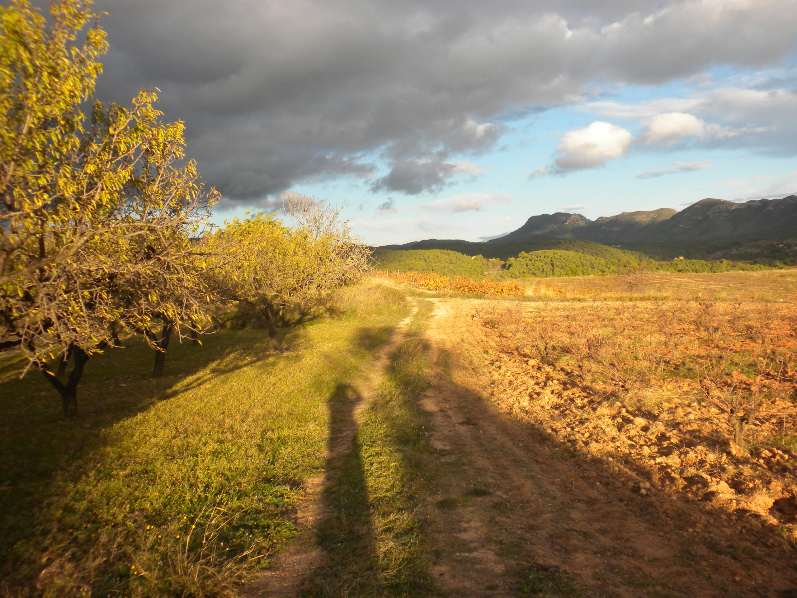 vila-rodona, entorn