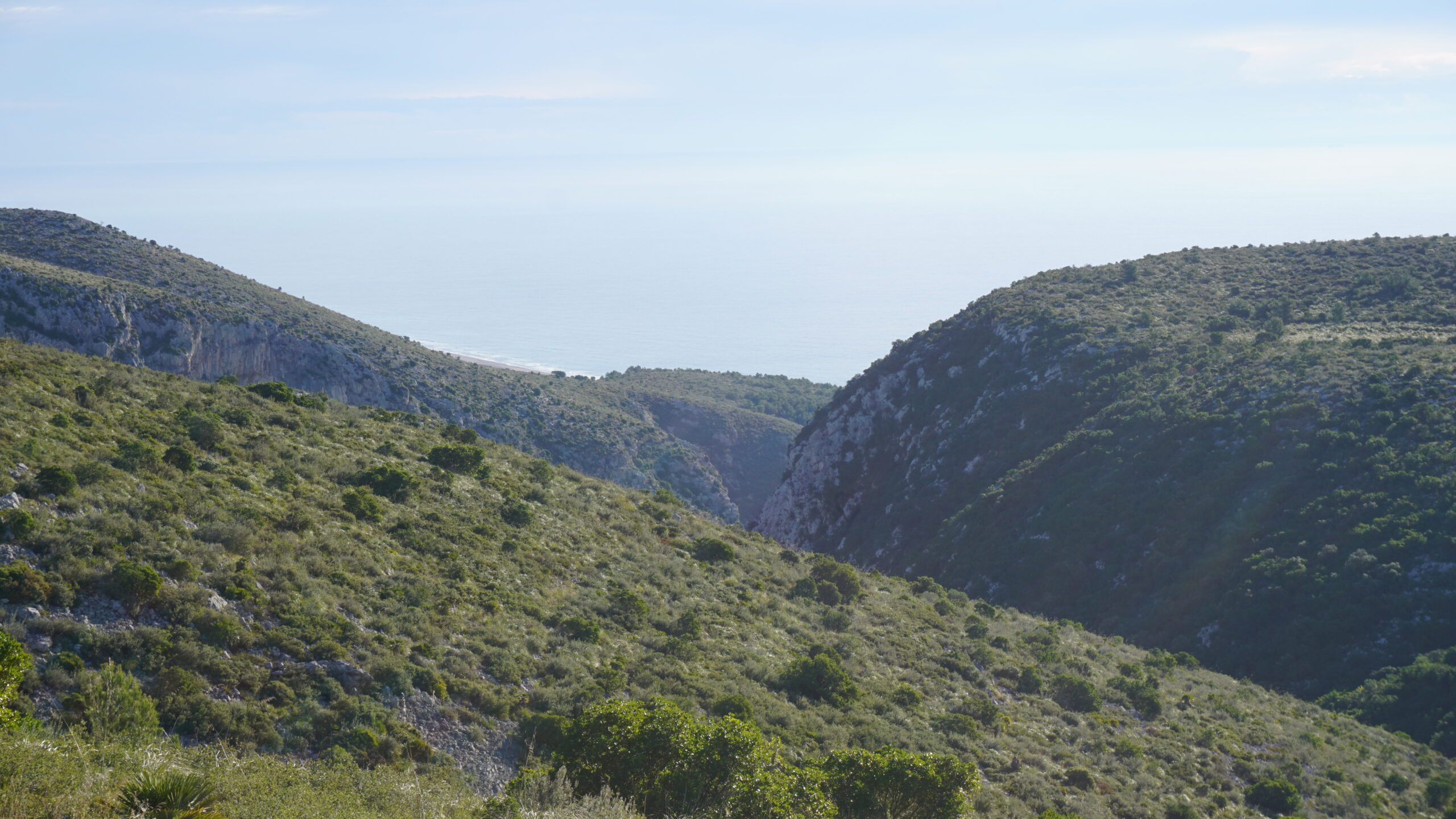 puig sabataire, tram