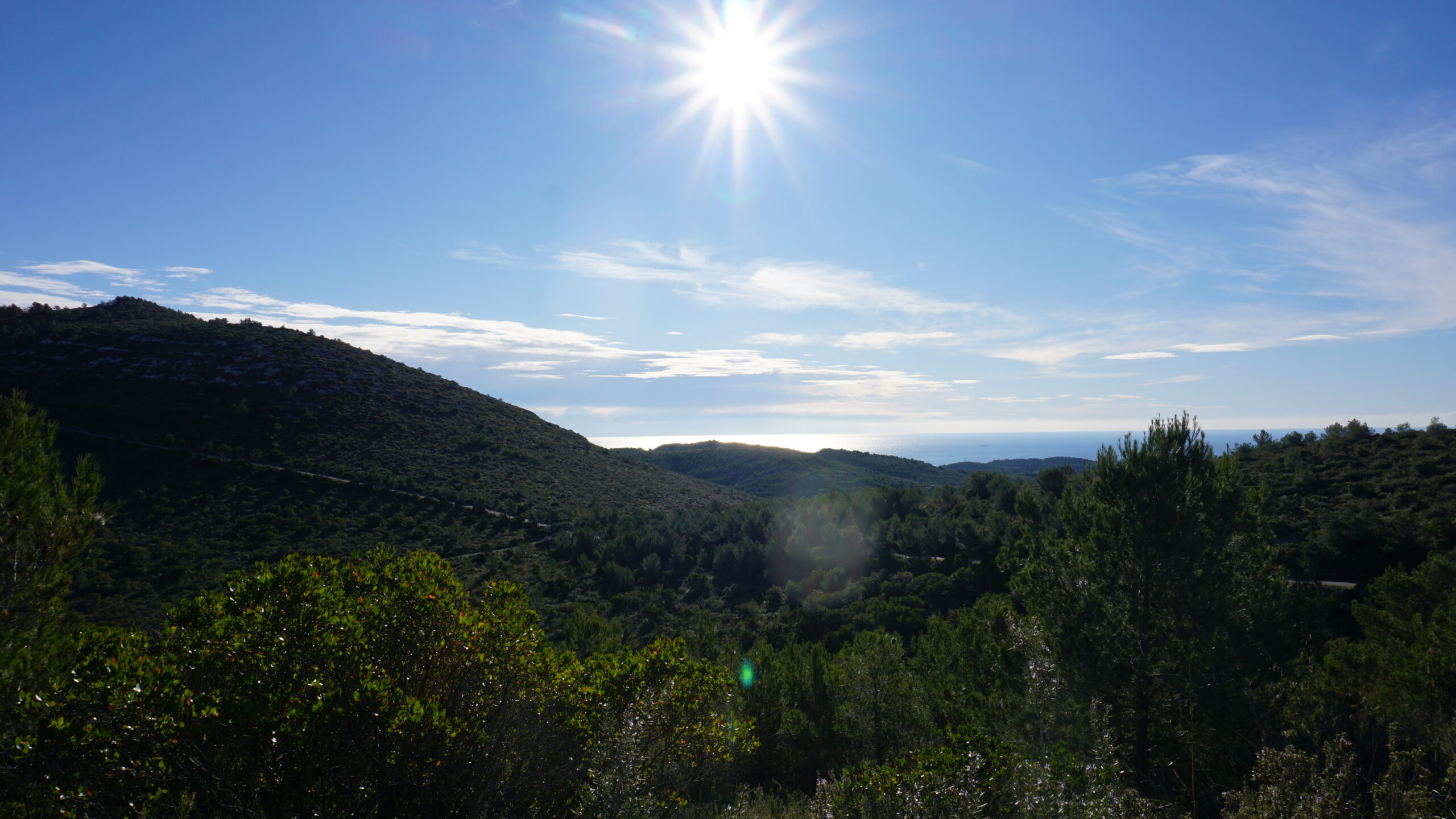 puig sabataire, tram