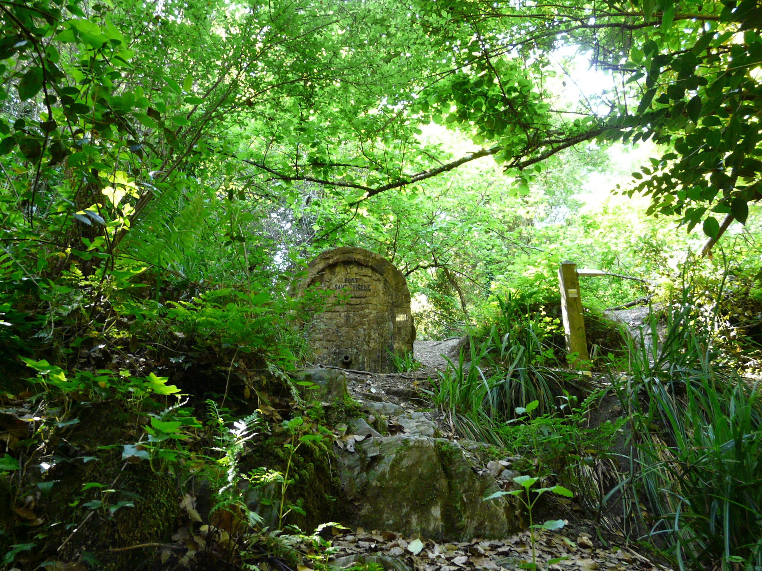 collserola, font de sant vicens