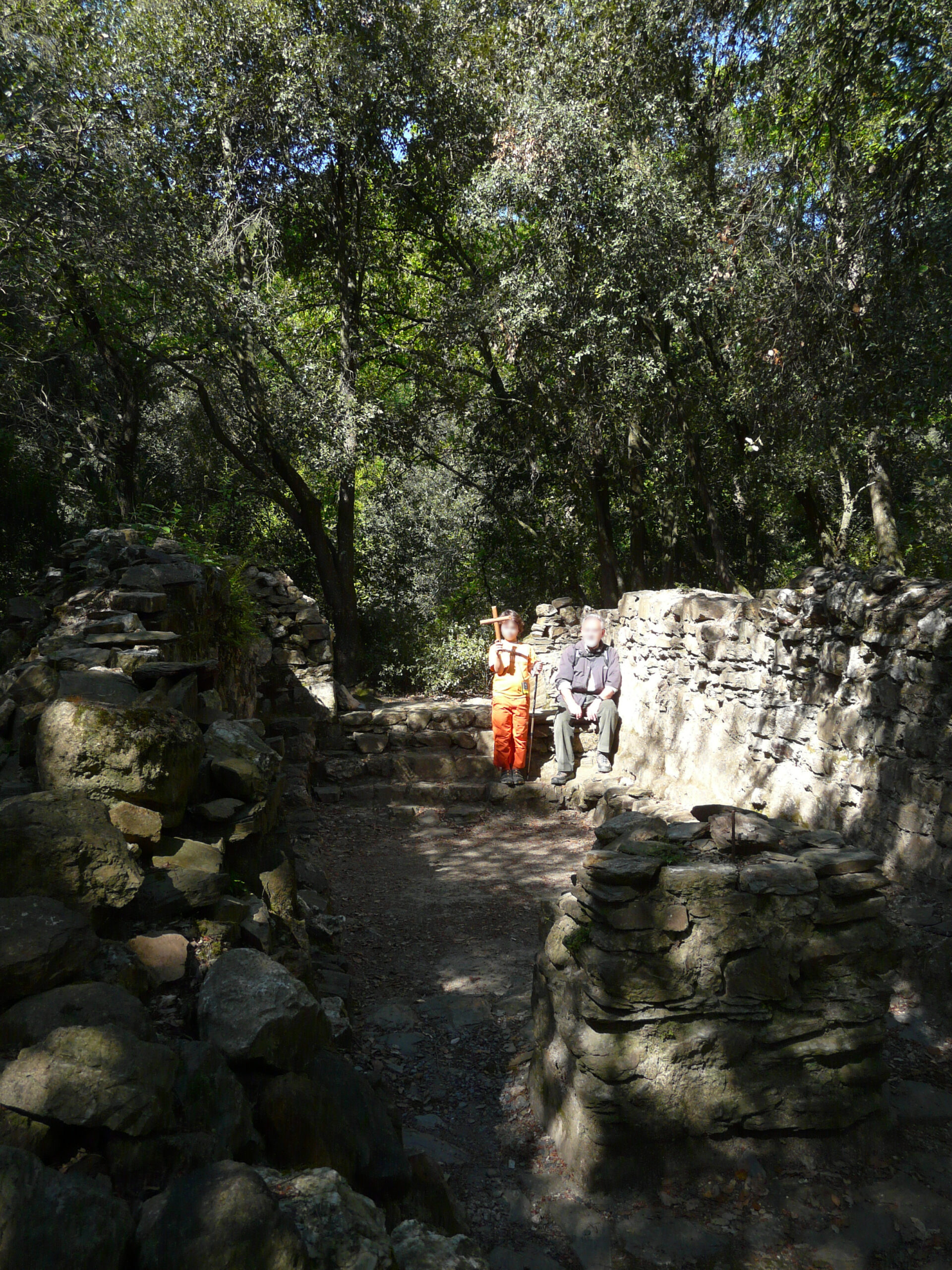 collserola, font de sant vicens
