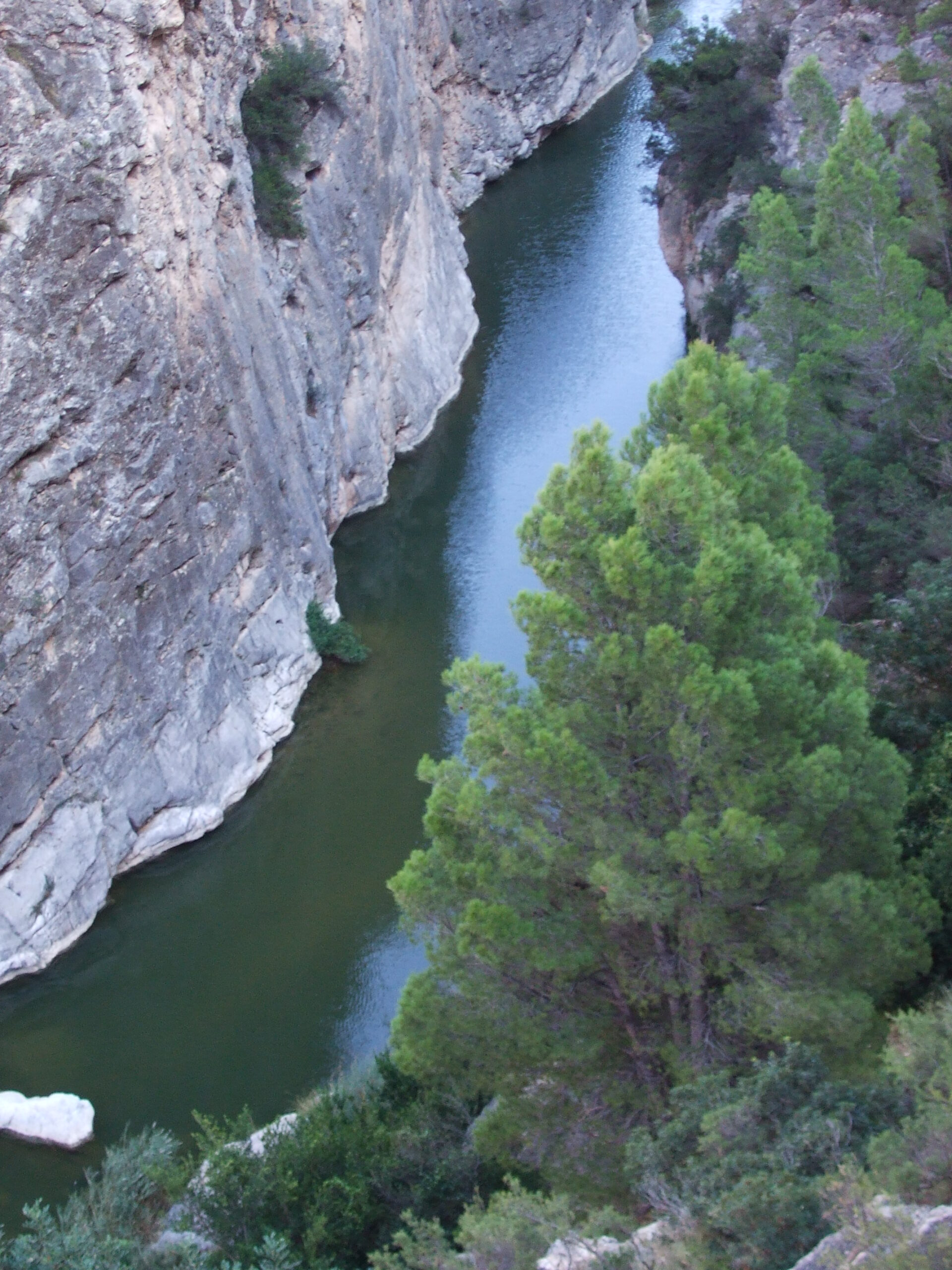 la fontcalda, el canaletes