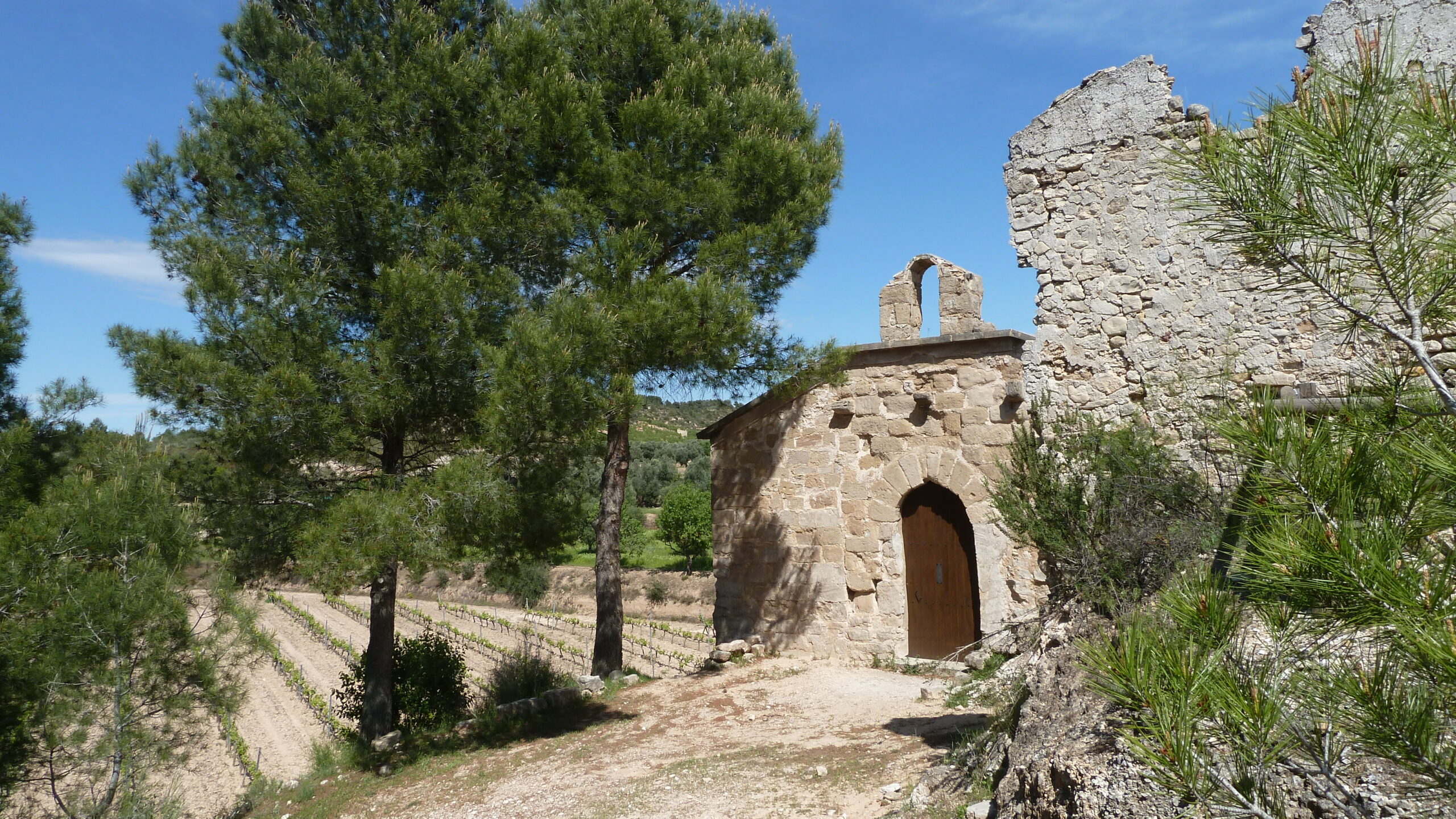 corbera d'ebre