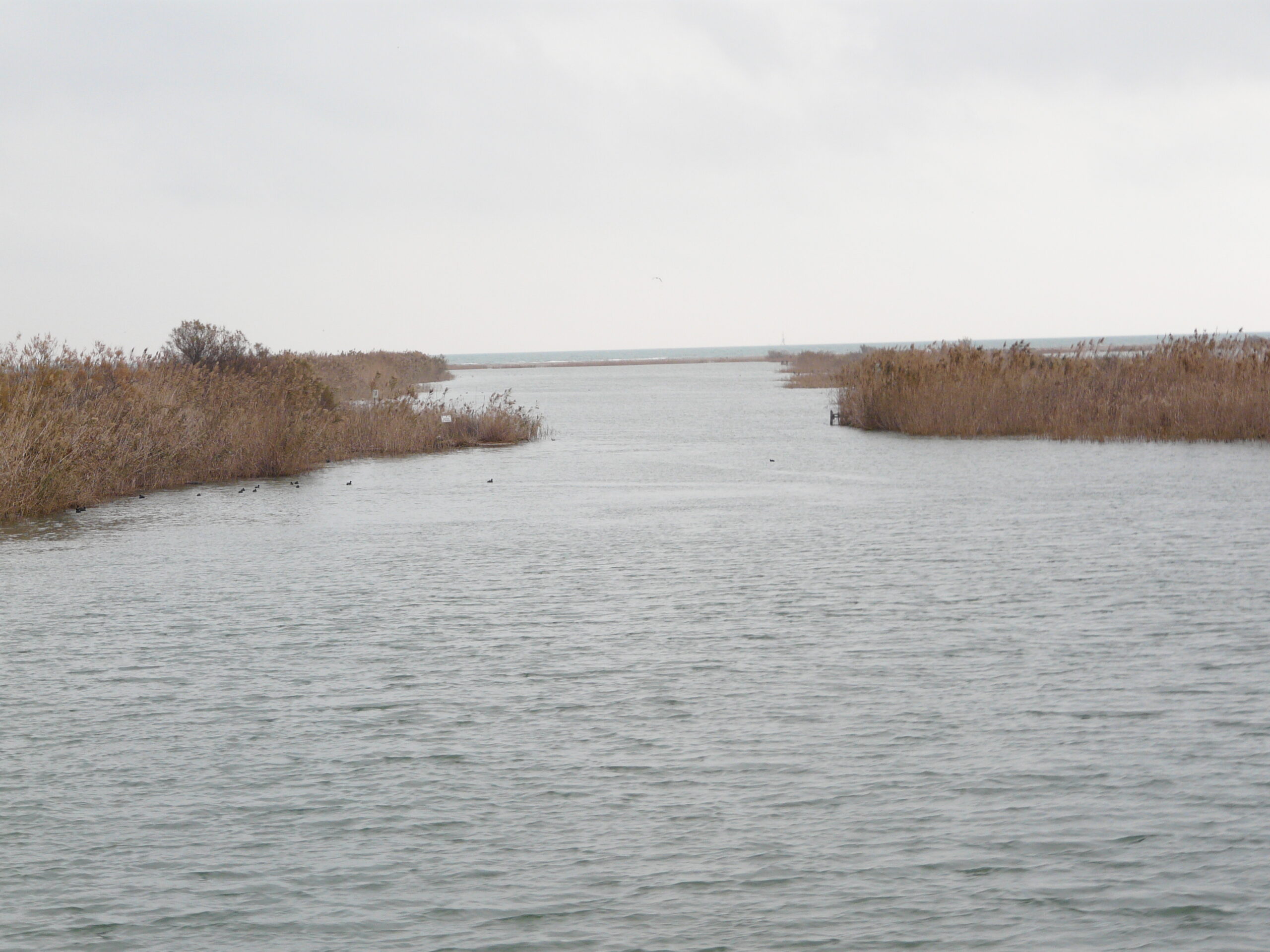 delta, desembocadura de l'ebre