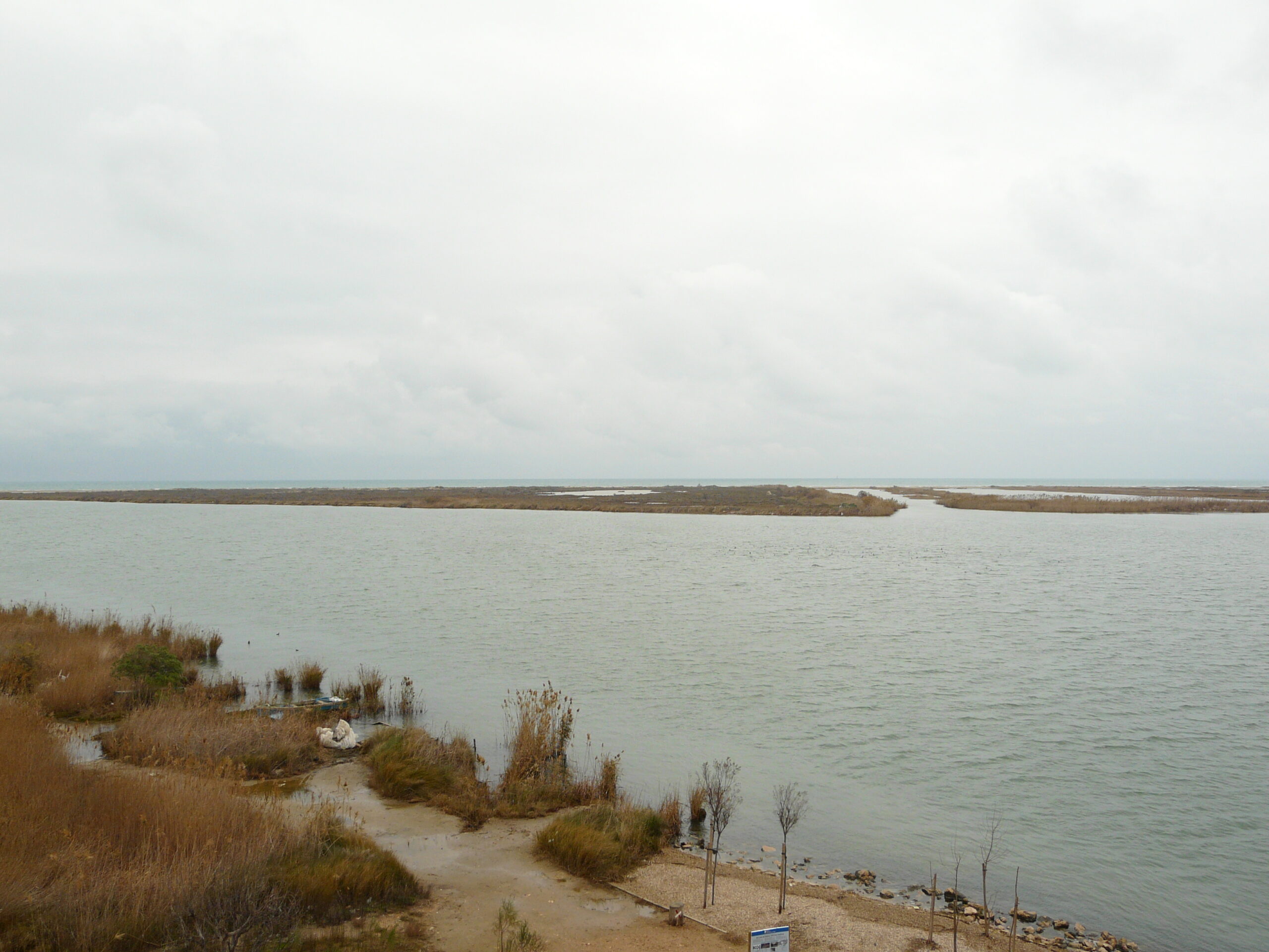 delta, desembocadura de l'ebre