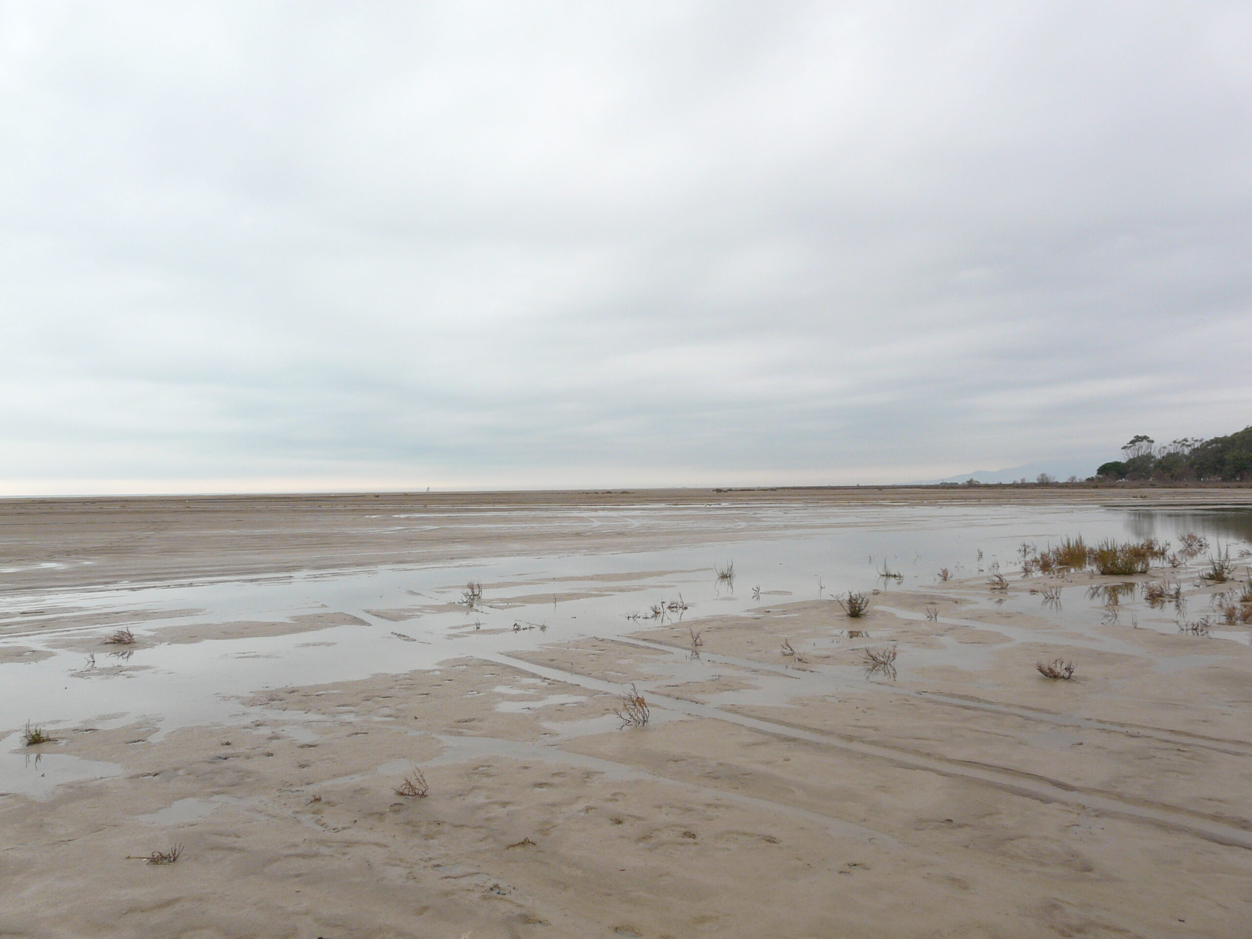 delta, el trabucador