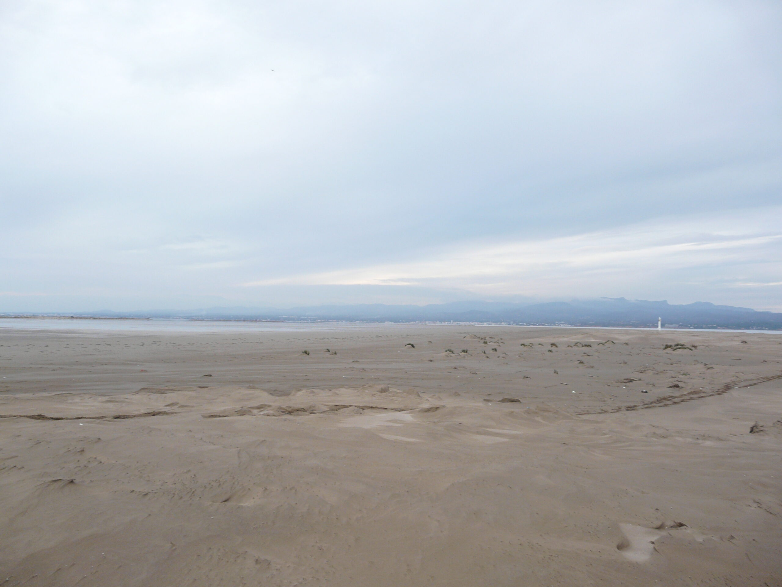 delta, punta del fangar