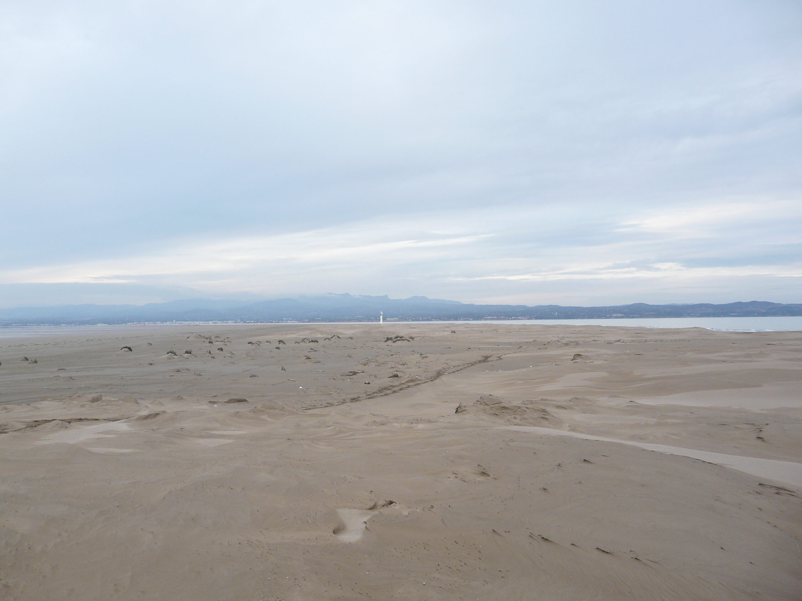 delta, punta del fangar