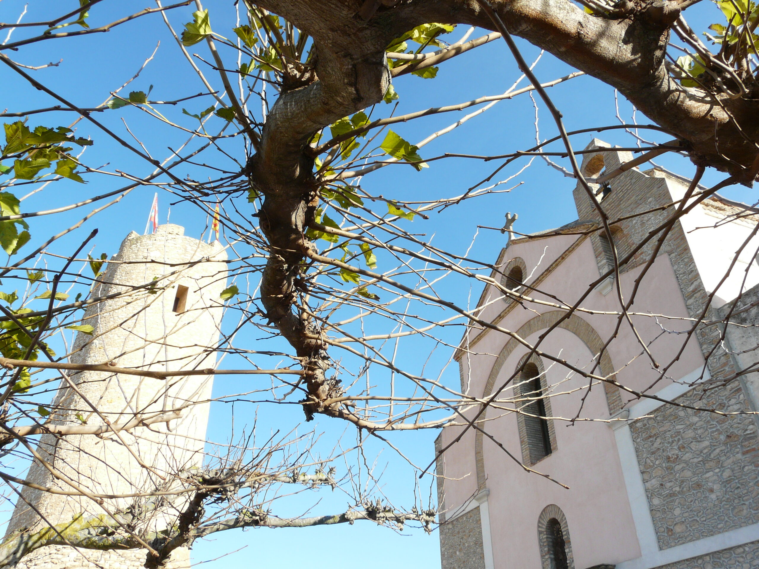 delta, mare de déu de l'aldea