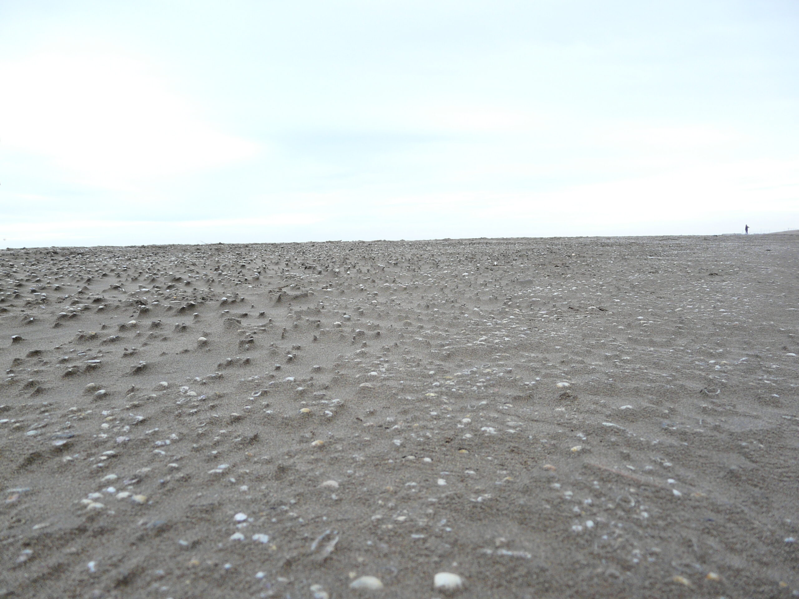 delta, punta del fangar