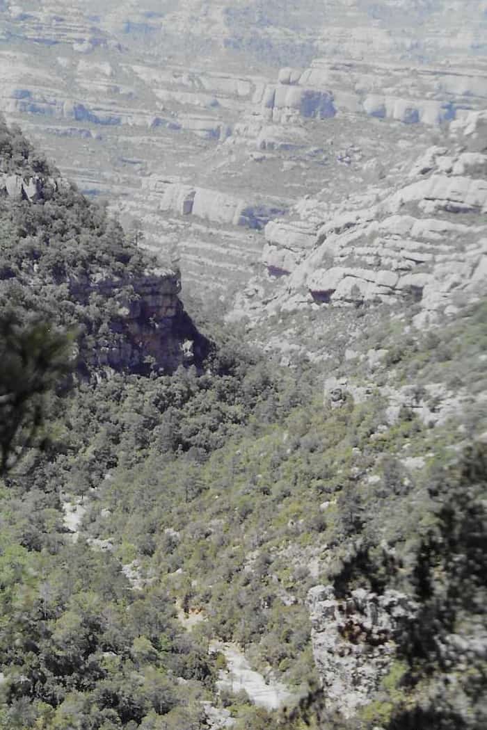 Montsant, barranc dels Pèlics