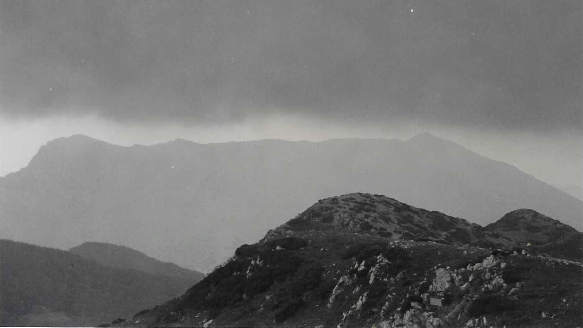 Matagalls al Turó de l'Home i les Agudes