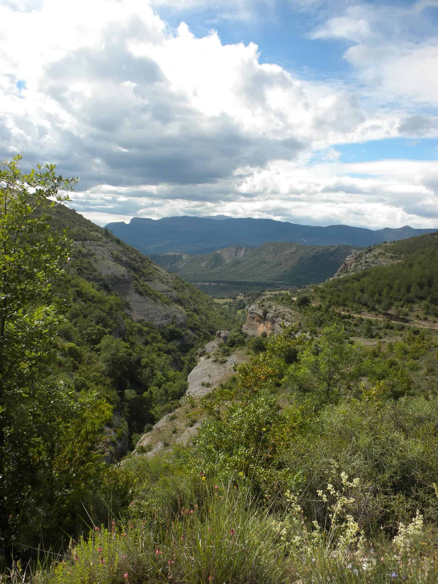 Camí de Pont d'Orrit a barranc del Grau del Graller