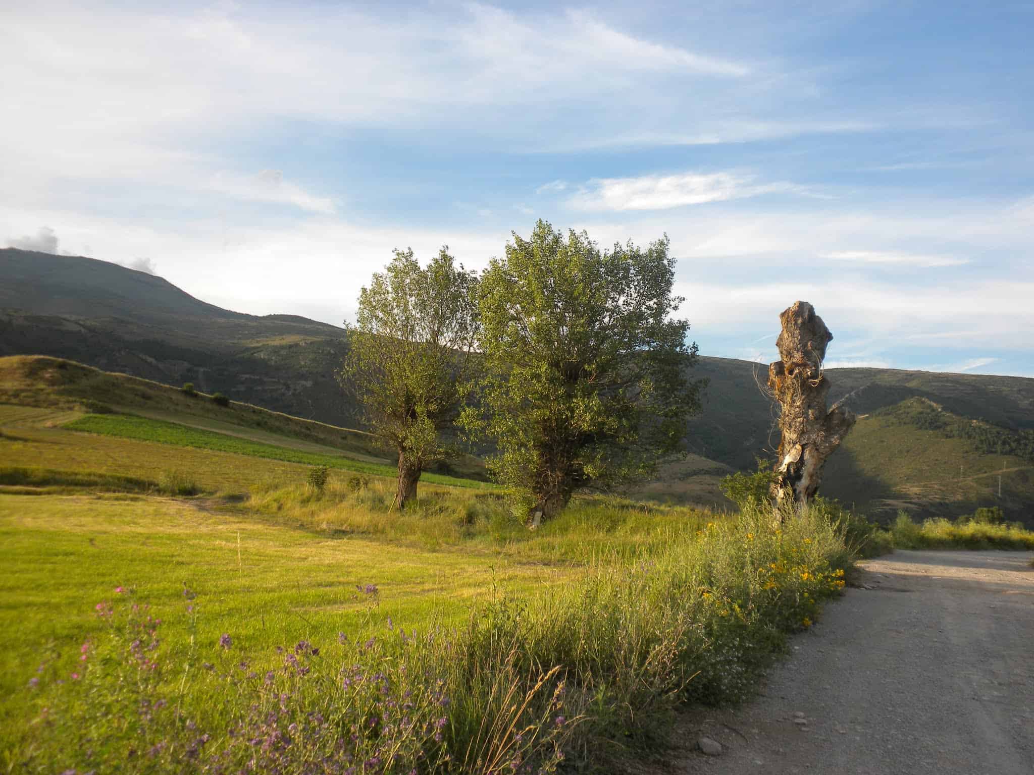 Entre Montellà i Santa Eugènia
