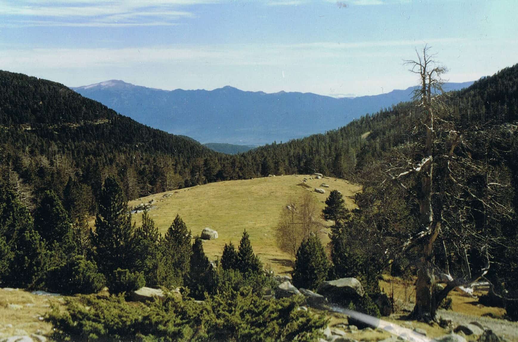 Font de les Pollineres a la Cerdanya