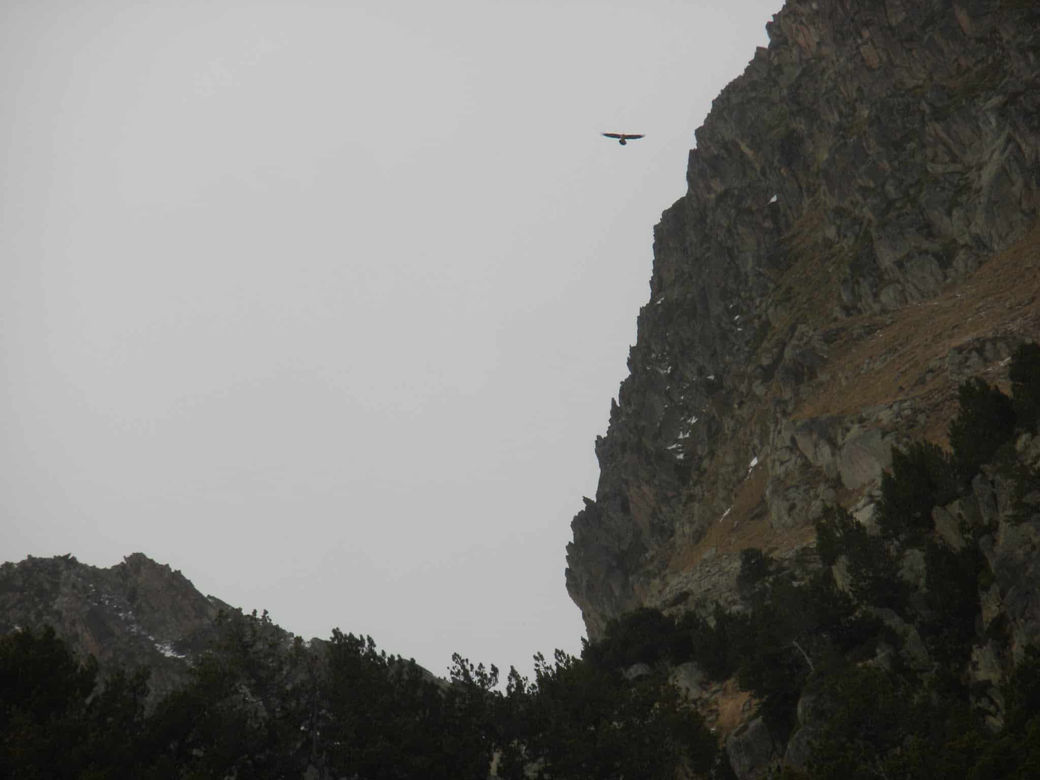 Trencalòs a Colomers