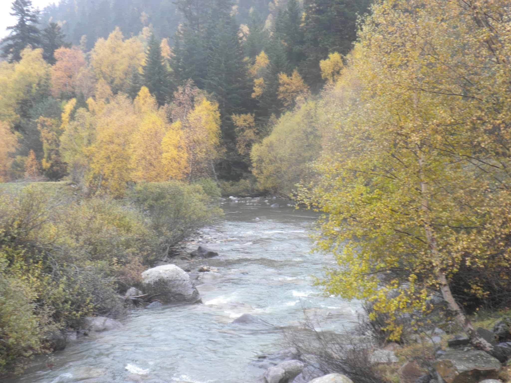 Pònt de Marimanha a Noguera Pallaresa est